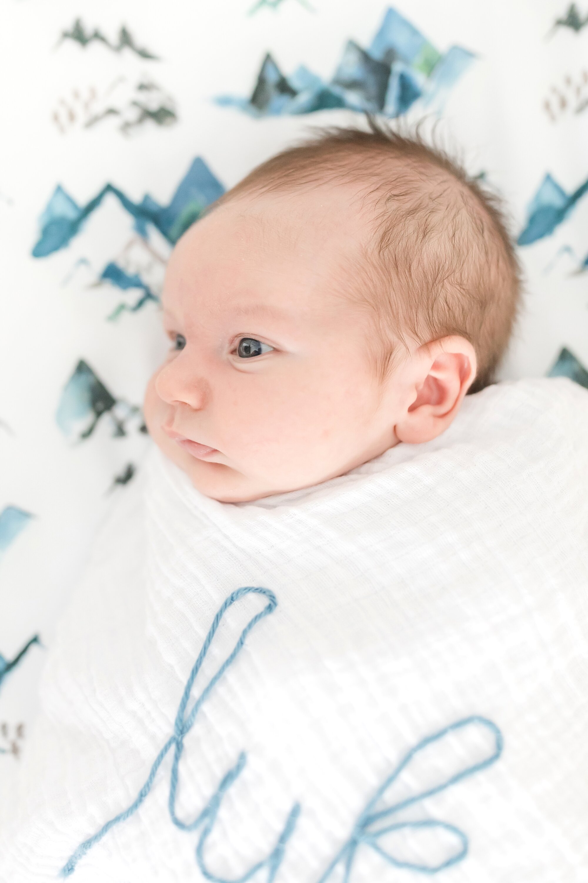 Pegg Newborn-65_Maryland-newborn-photographer-anna-grace-photography.jpg