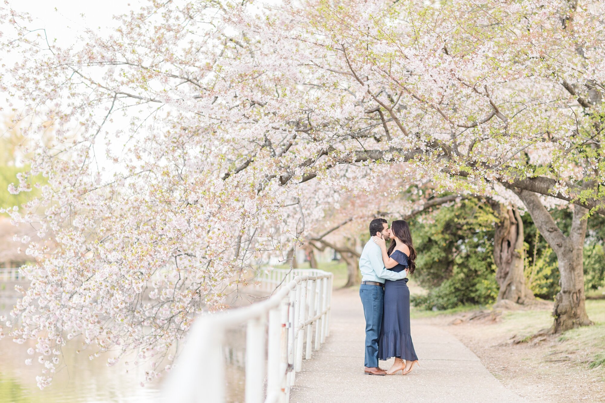 Parissa and Kasra Engagement-47_Washington-DC-cherry-blossom-engagement-photographer-anna-grace-photography.jpg