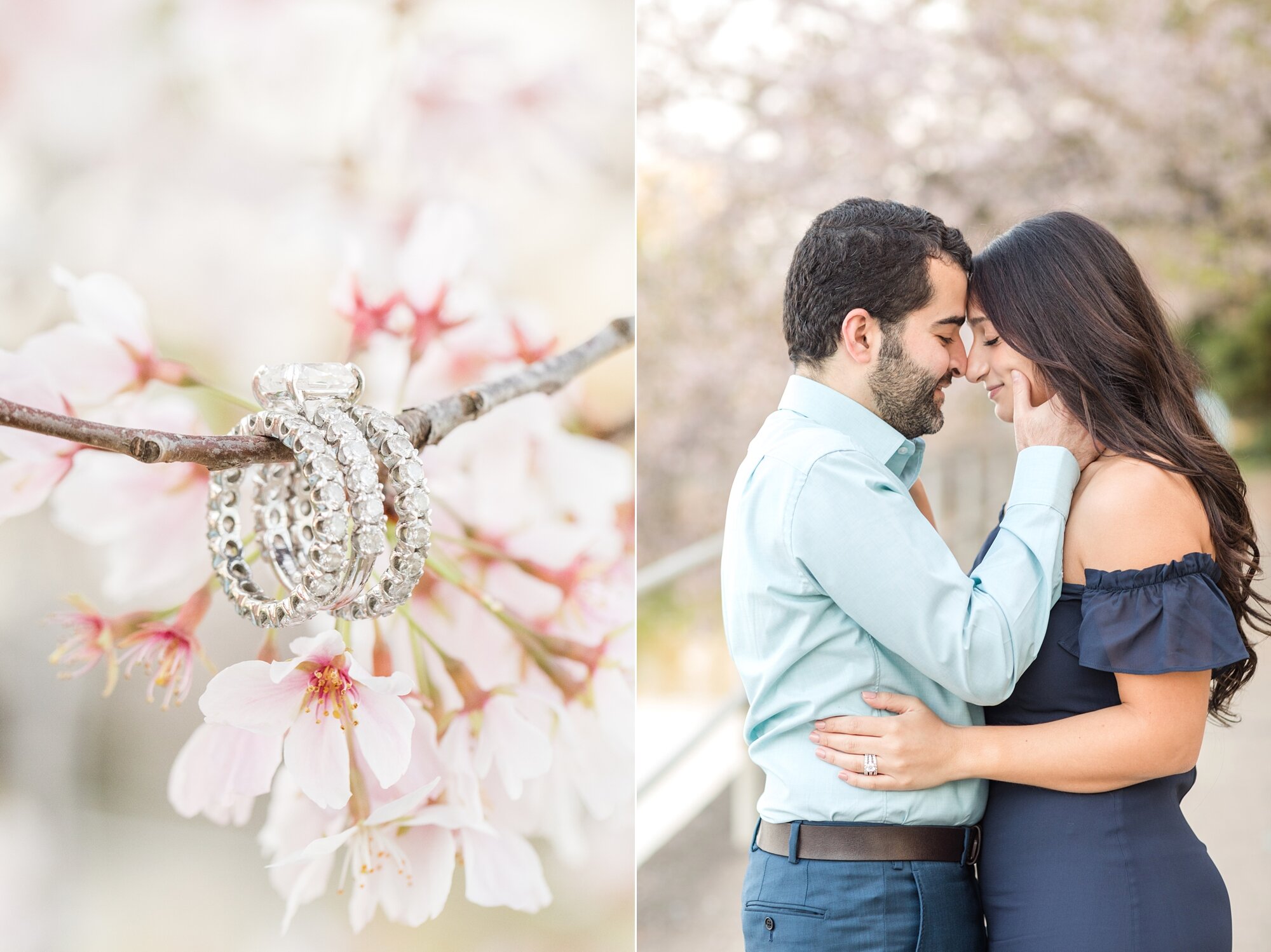 Parissa and Kasra Engagement-72_Washington-DC-cherry-blossom-engagement-photographer-anna-grace-photography.jpg
