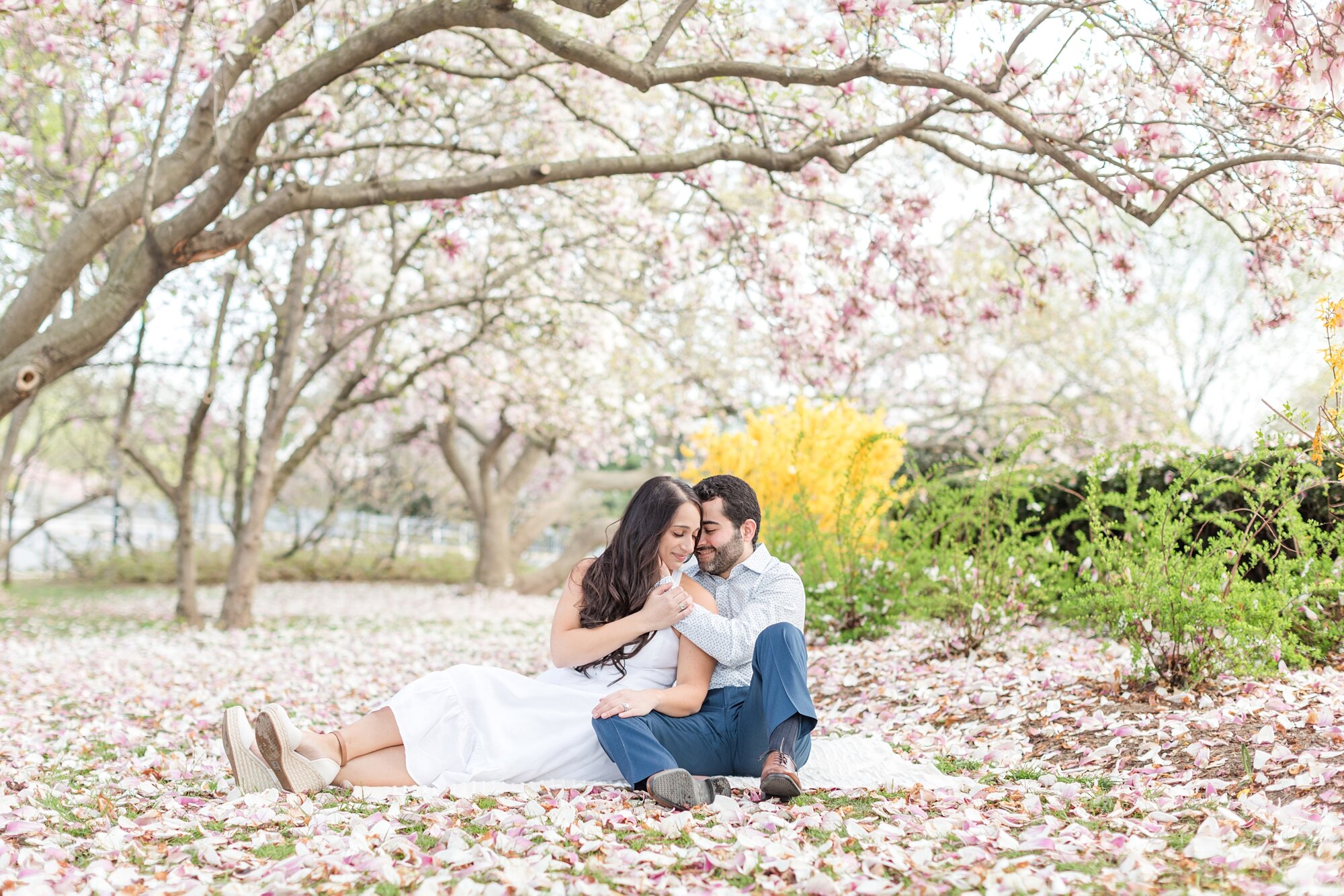 Parissa and Kasra Engagement-97_Washington-DC-cherry-blossom-engagement-photographer-anna-grace-photography.jpg