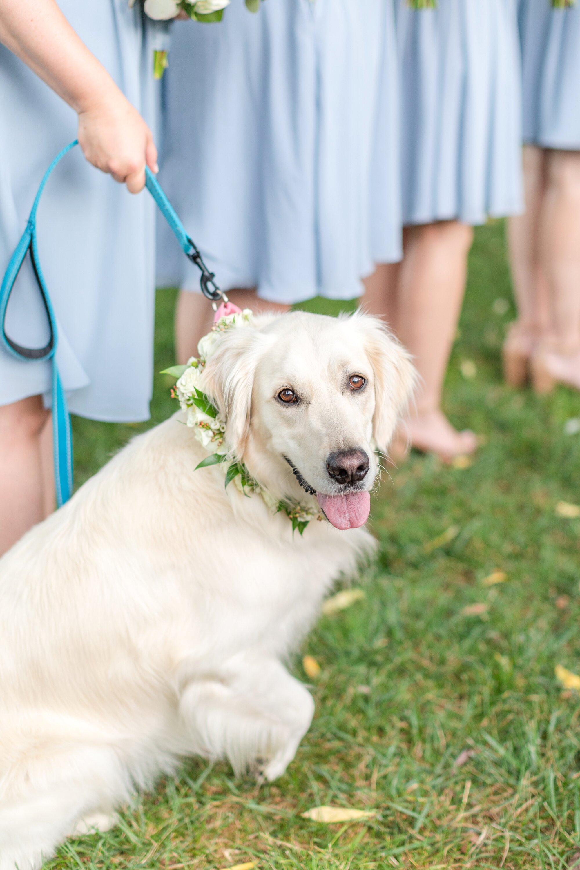  Sweet pup! 