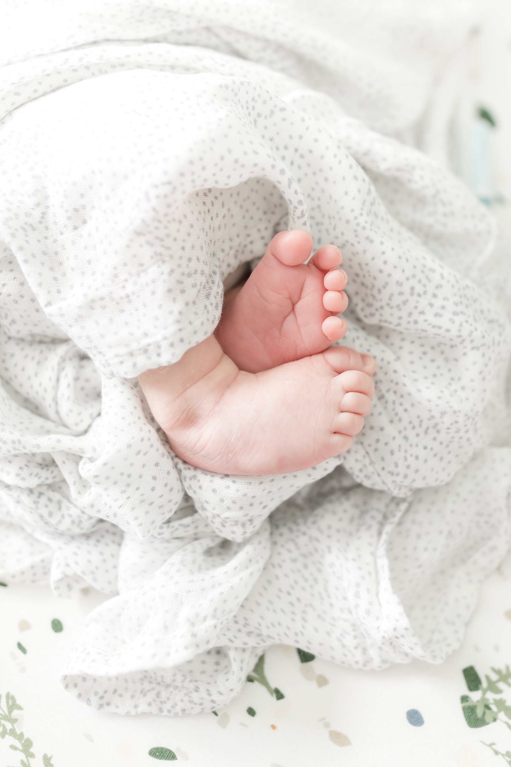Sciuto Newborn-135_Maryland-Virginia-newborn-photographer-anna-grace-photography.jpg