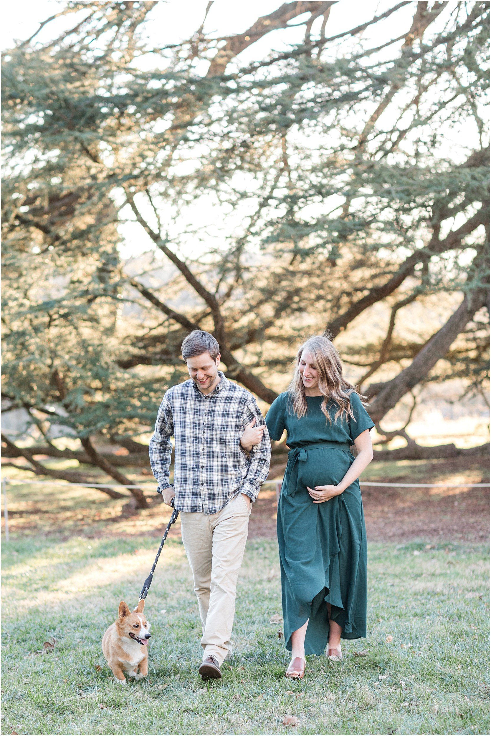 Powell Maternity 2020-14_hampton-historic-mansion-maryland-maternity-photography-photography-annagracephotography-maryland-photographer.jpg