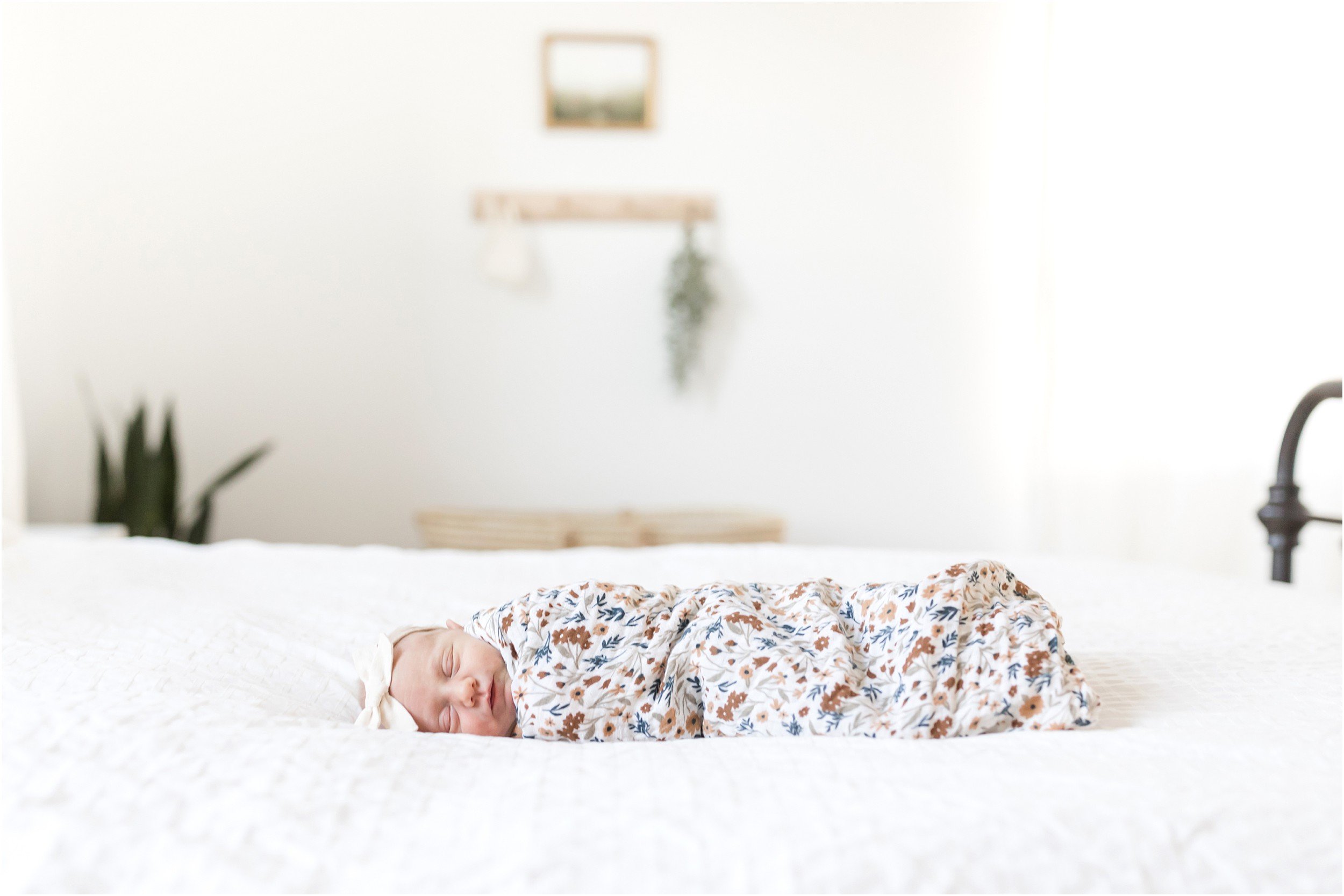 Baby Lydia Abell Newborn-29_maryland-newborn-photography-photography-annagracephotography-maryland-photographer.jpg