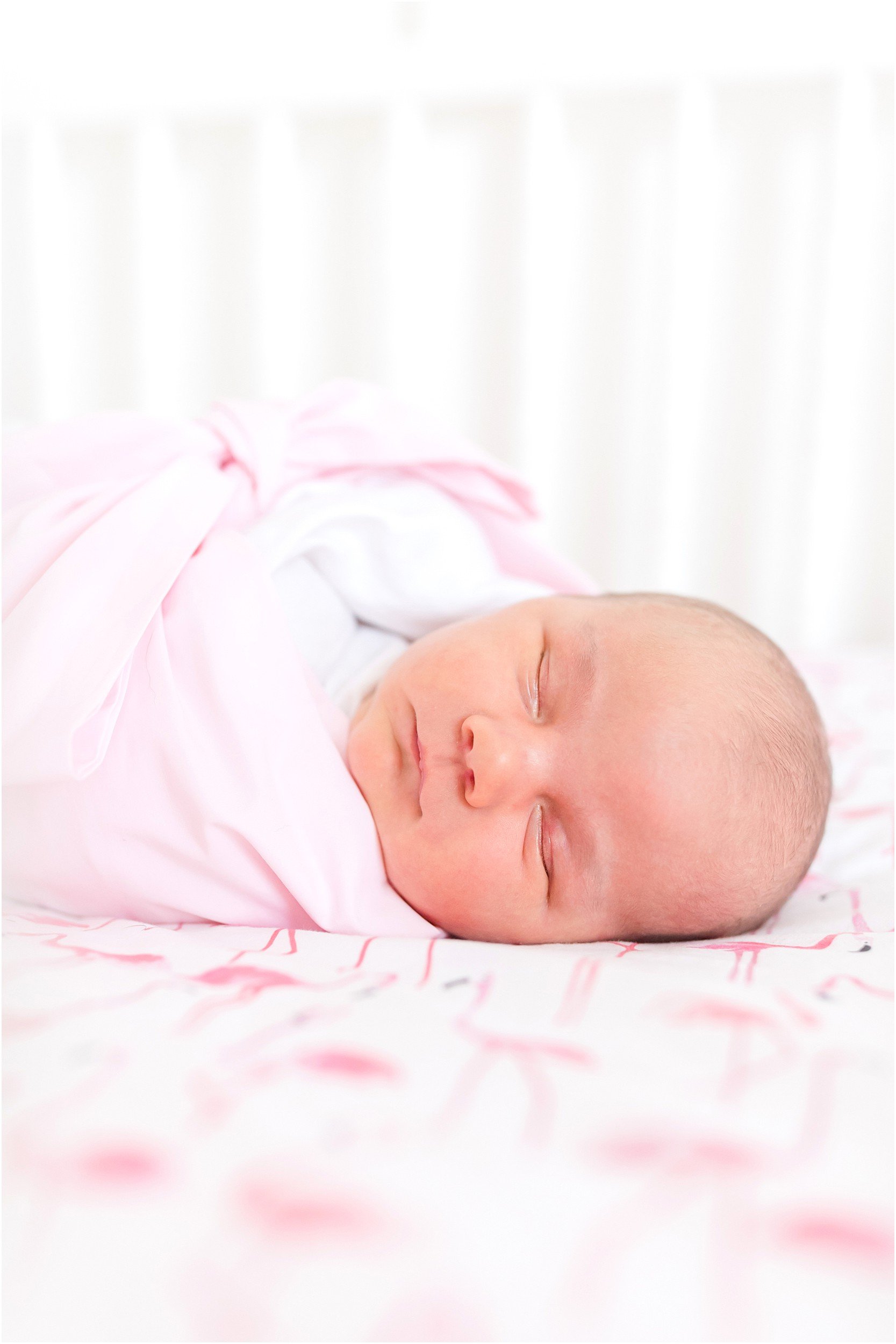 Webster Newborn 2022-139_northcarolina-newborn-photography-annagracephotography-maryland-photographer.jpg