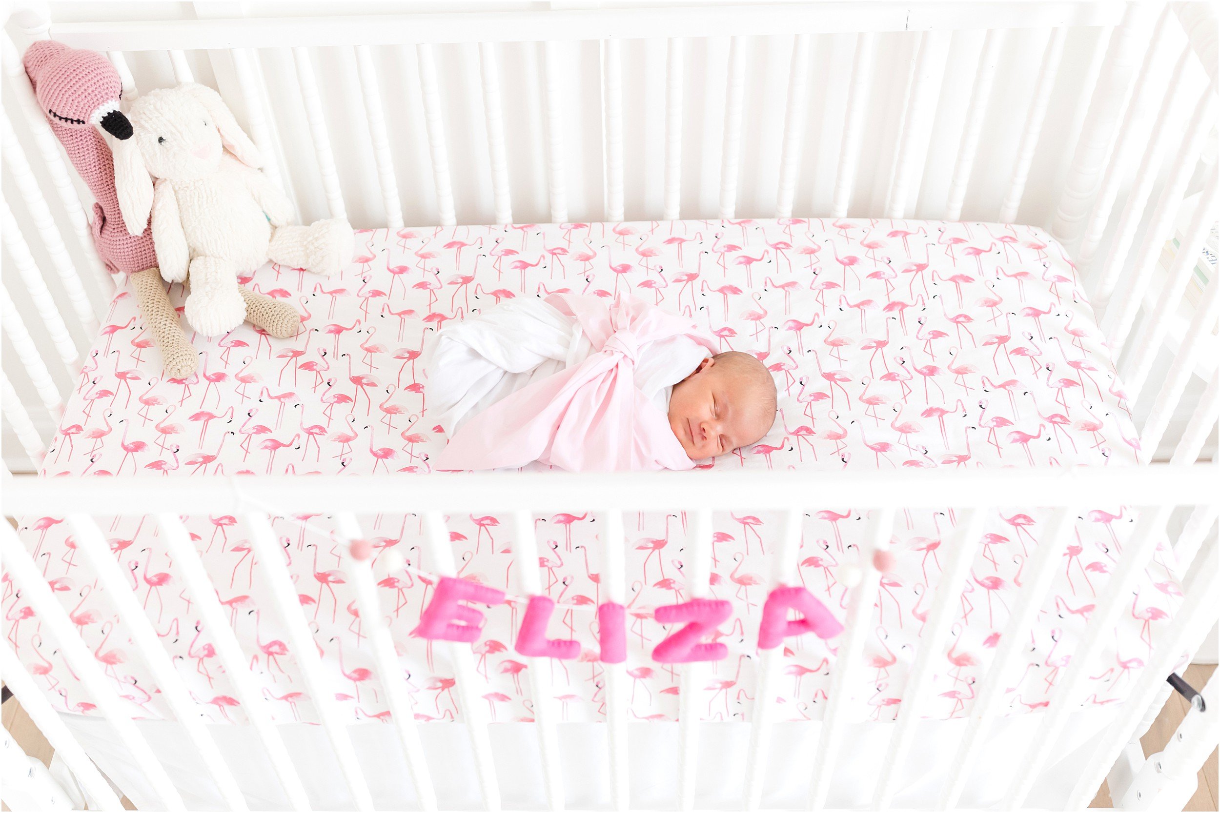 Webster Newborn 2022-142_northcarolina-newborn-photography-annagracephotography-maryland-photographer.jpg