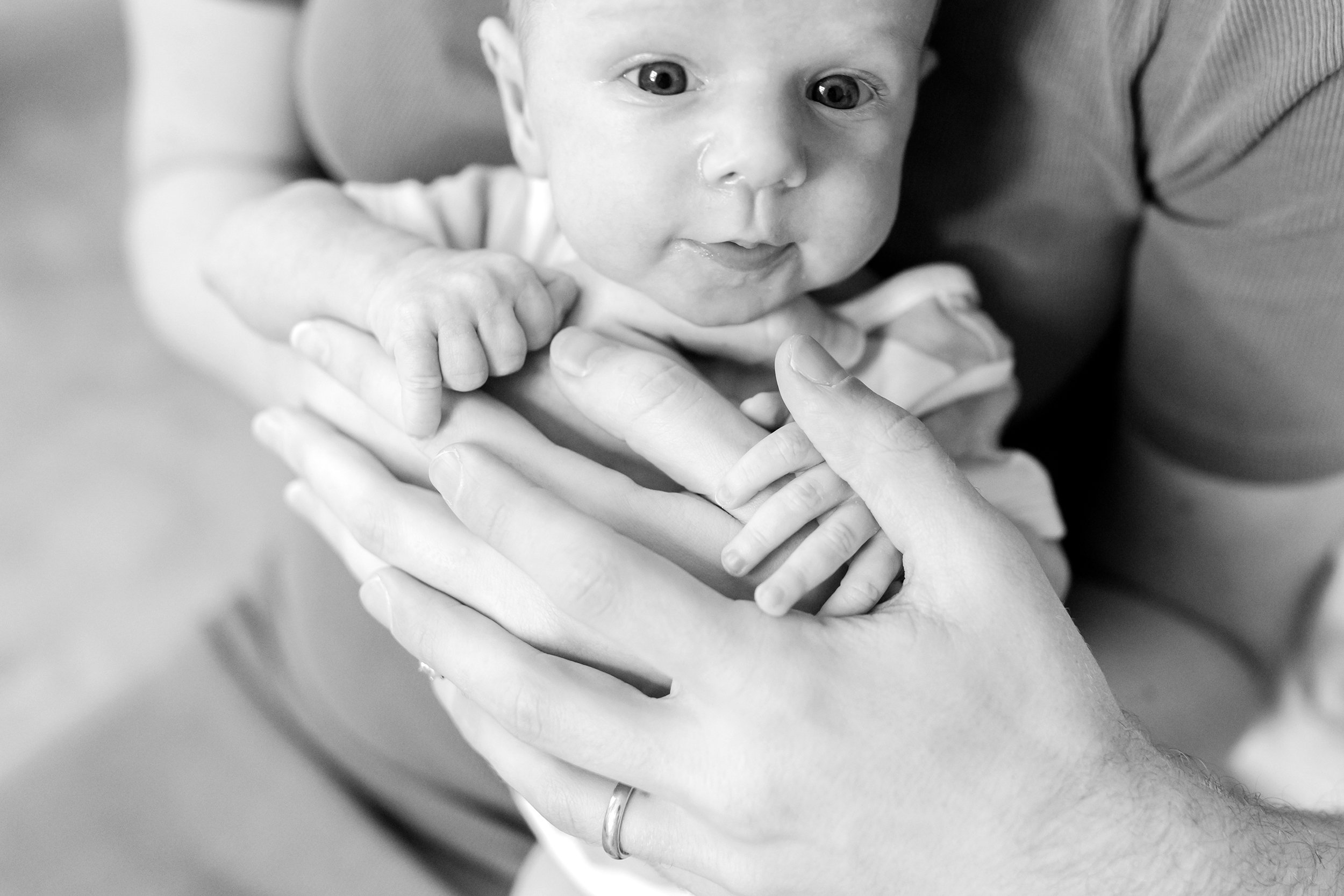 Raleigh Newborn Hands