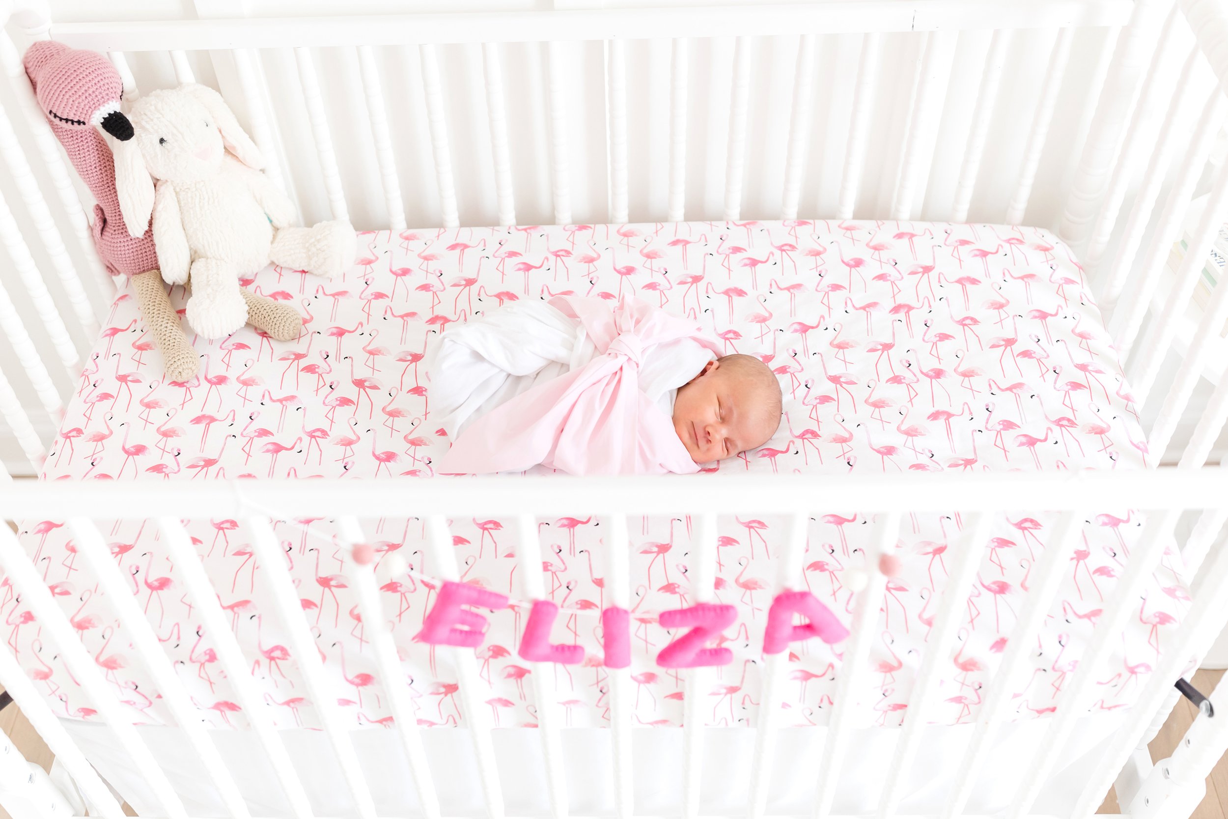 Raleigh Newborn Lilly Pink Crib