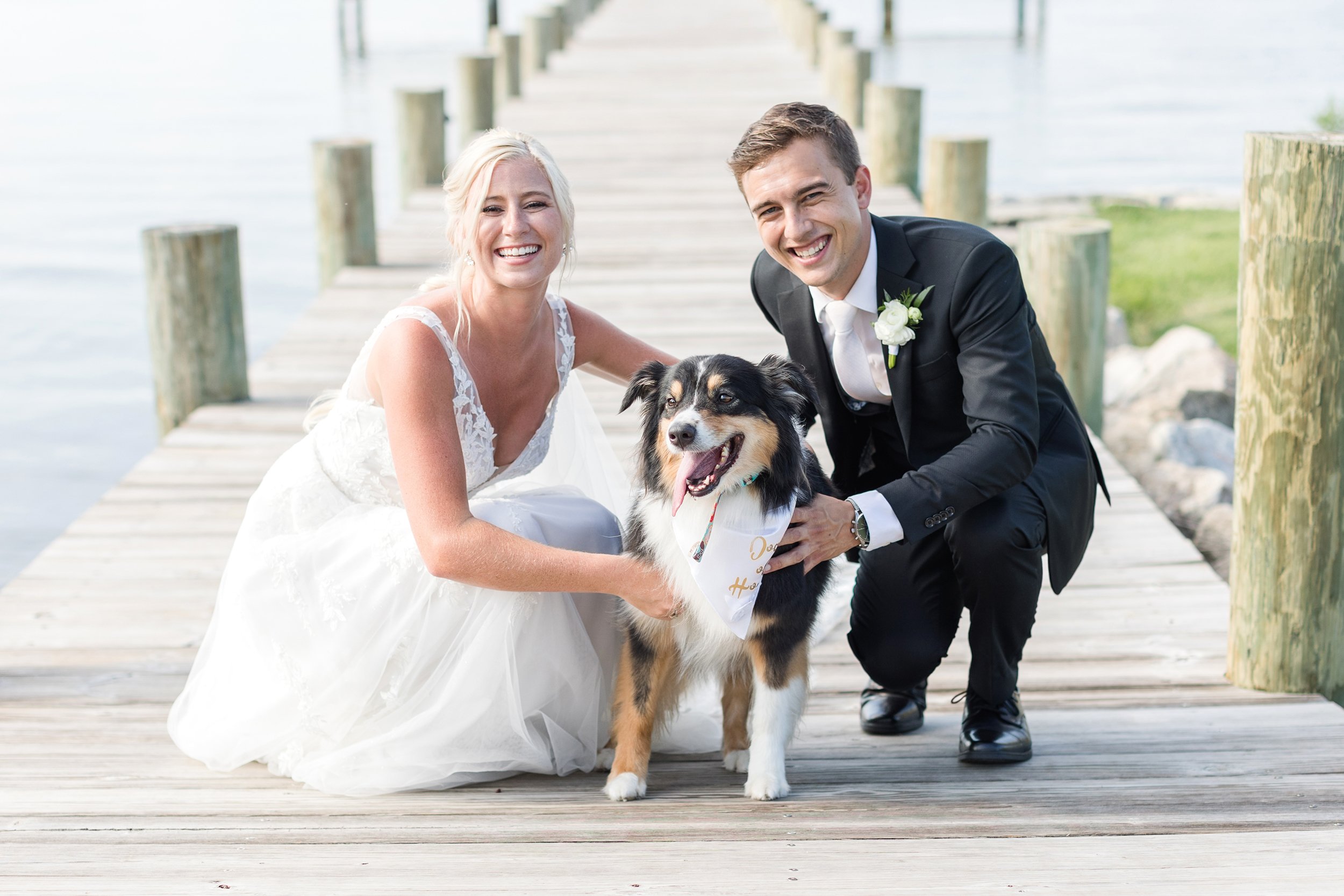 herrington-on-the-bay-maryland-wedding-dog.jpg