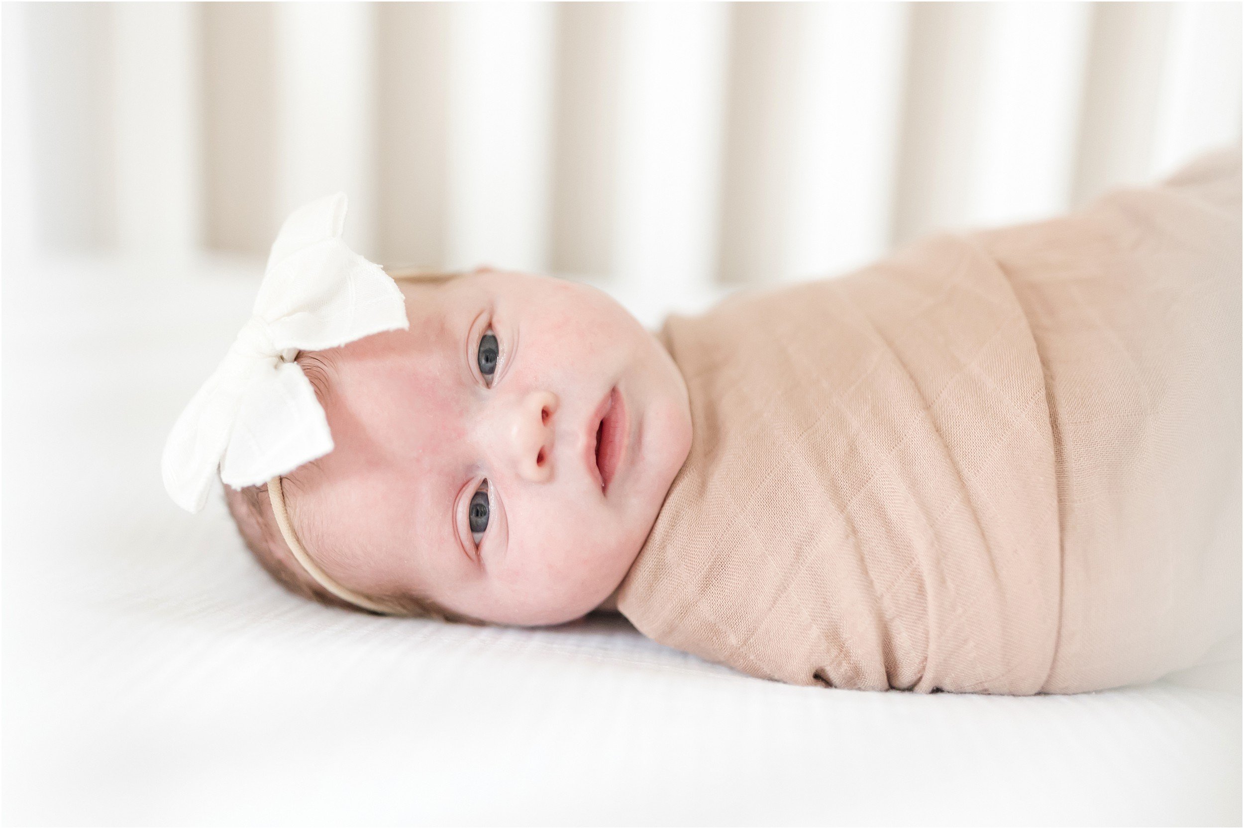 Schlegel Newborn-32_Cary-newborn-photographer.jpg