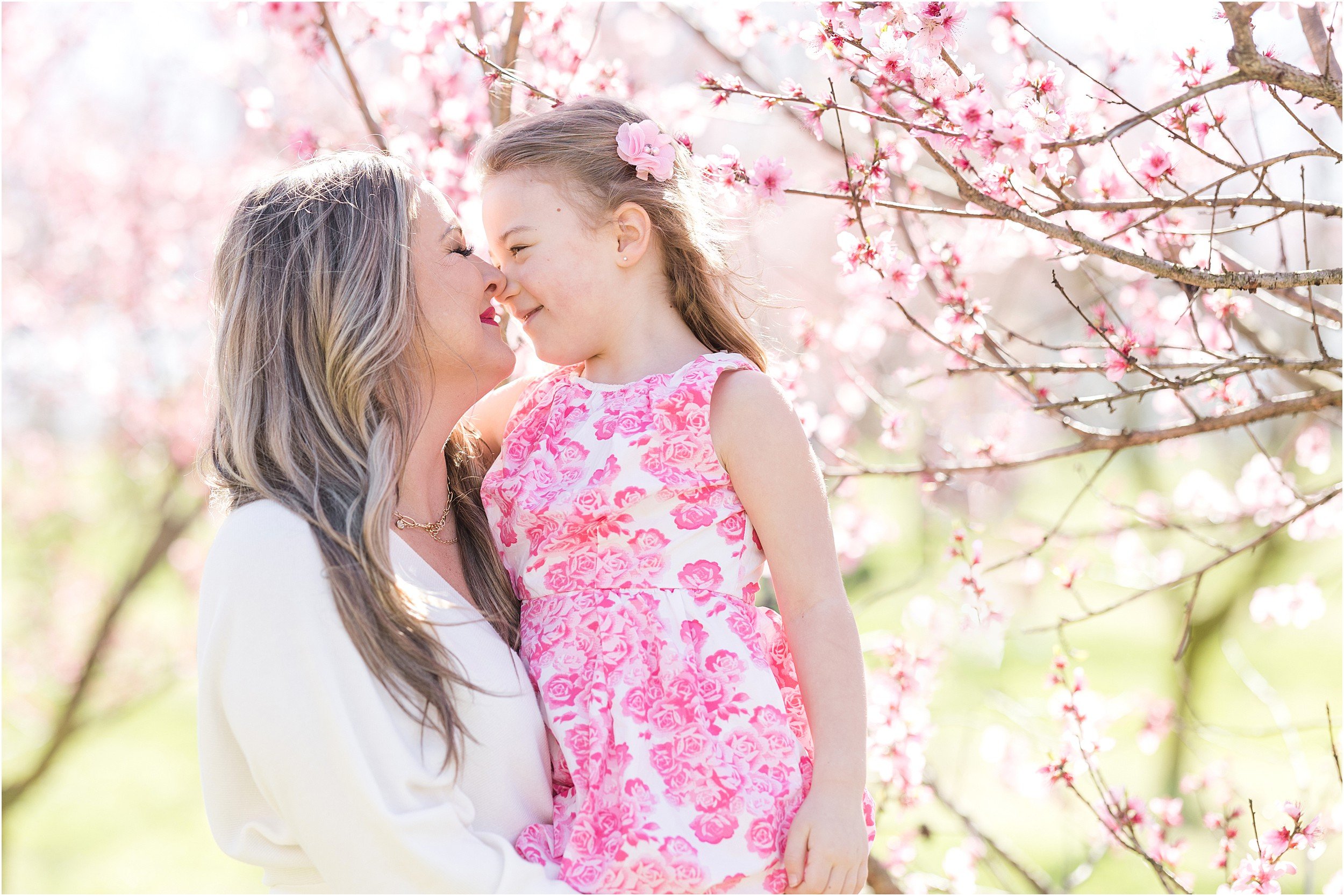 Hewetson Family 2023-26_Millstone-Orchard-peach-blossoms-Raleigh-family-photographer.jpg