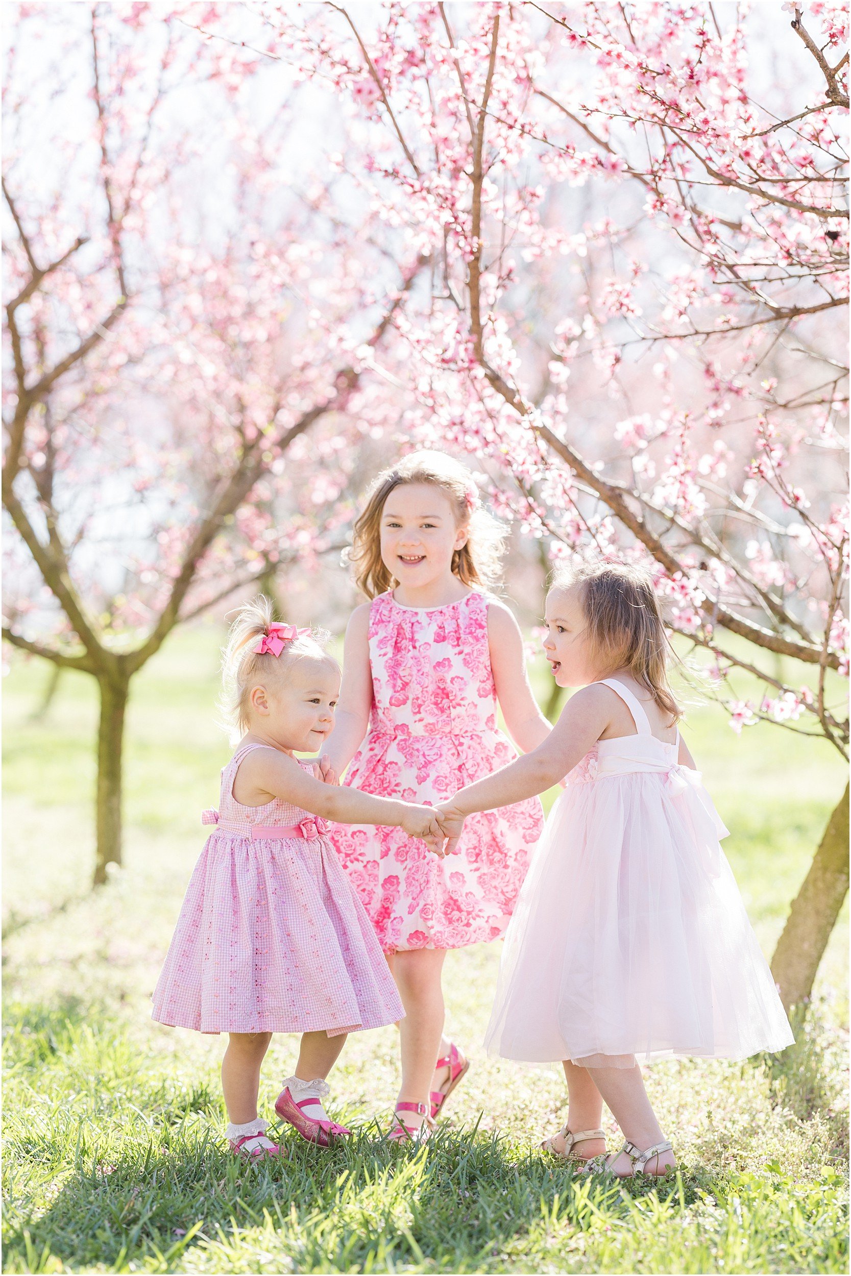 Hewetson Family 2023-45_Millstone-Orchard-peach-blossoms-Raleigh-family-photographer.jpg