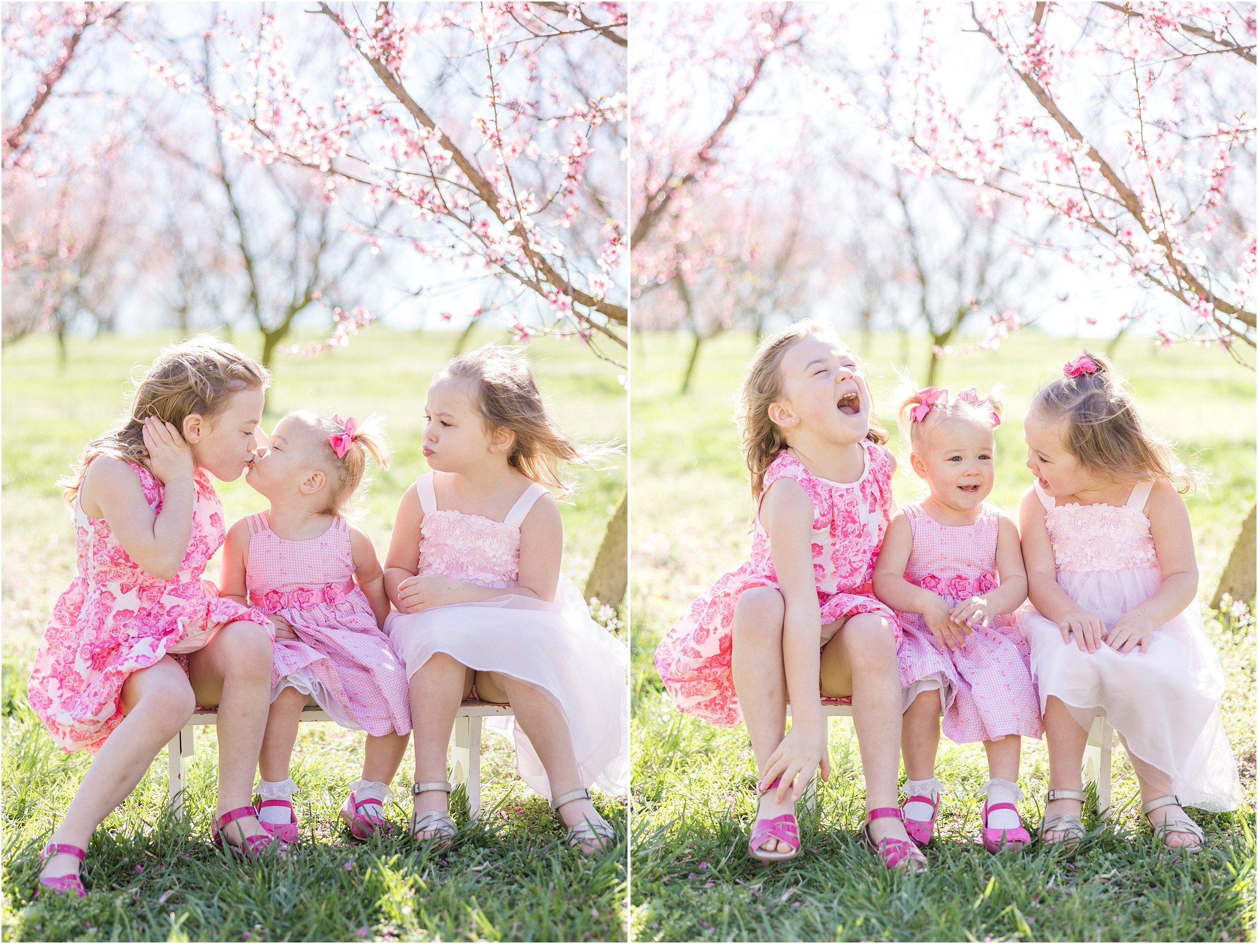 Hewetson Family 2023-76_Millstone-Orchard-peach-blossoms-Raleigh-family-photographer.jpg
