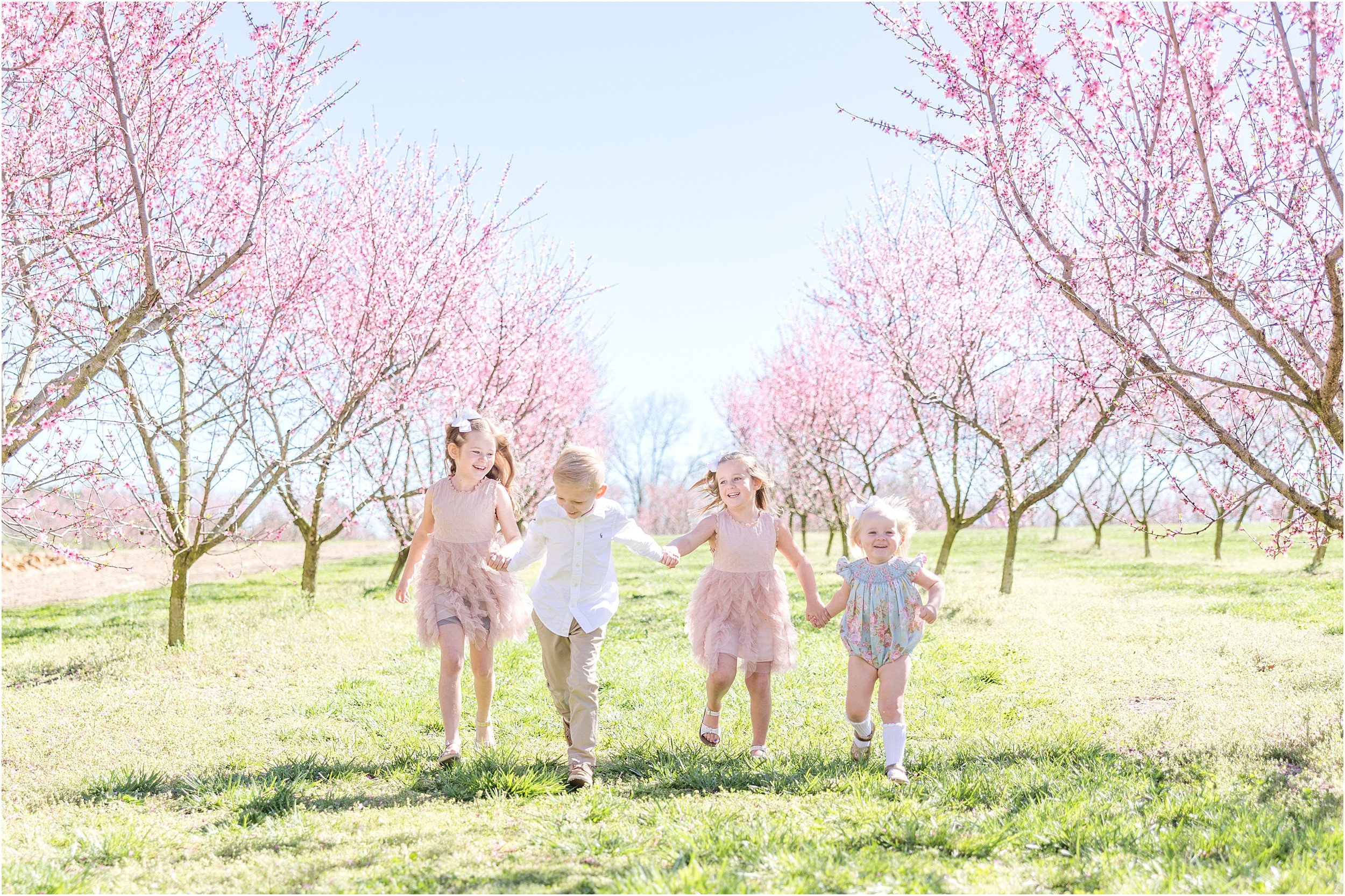 Wunderink Family Spring 2023-16_Millstone-Orchard-peach-blossoms-Raleigh-family-photographer.jpg