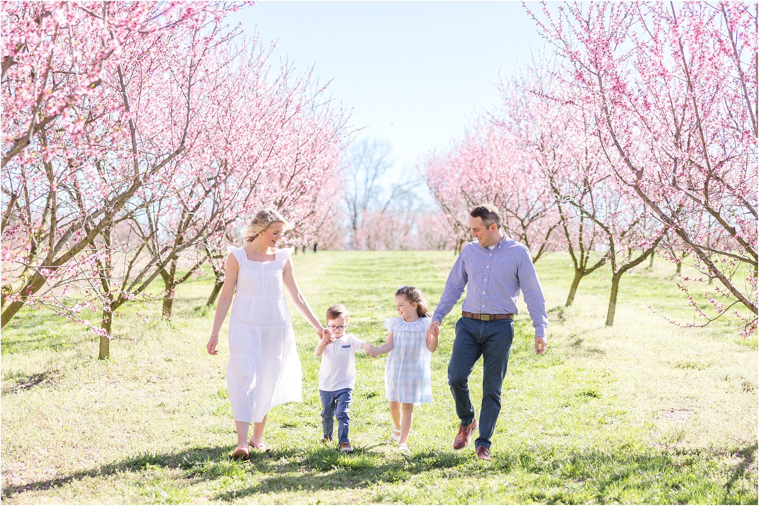 Miano Family Spring 2023-2_Southern-Grace-Farms-North-Carolina-wedding-photographer.jpg