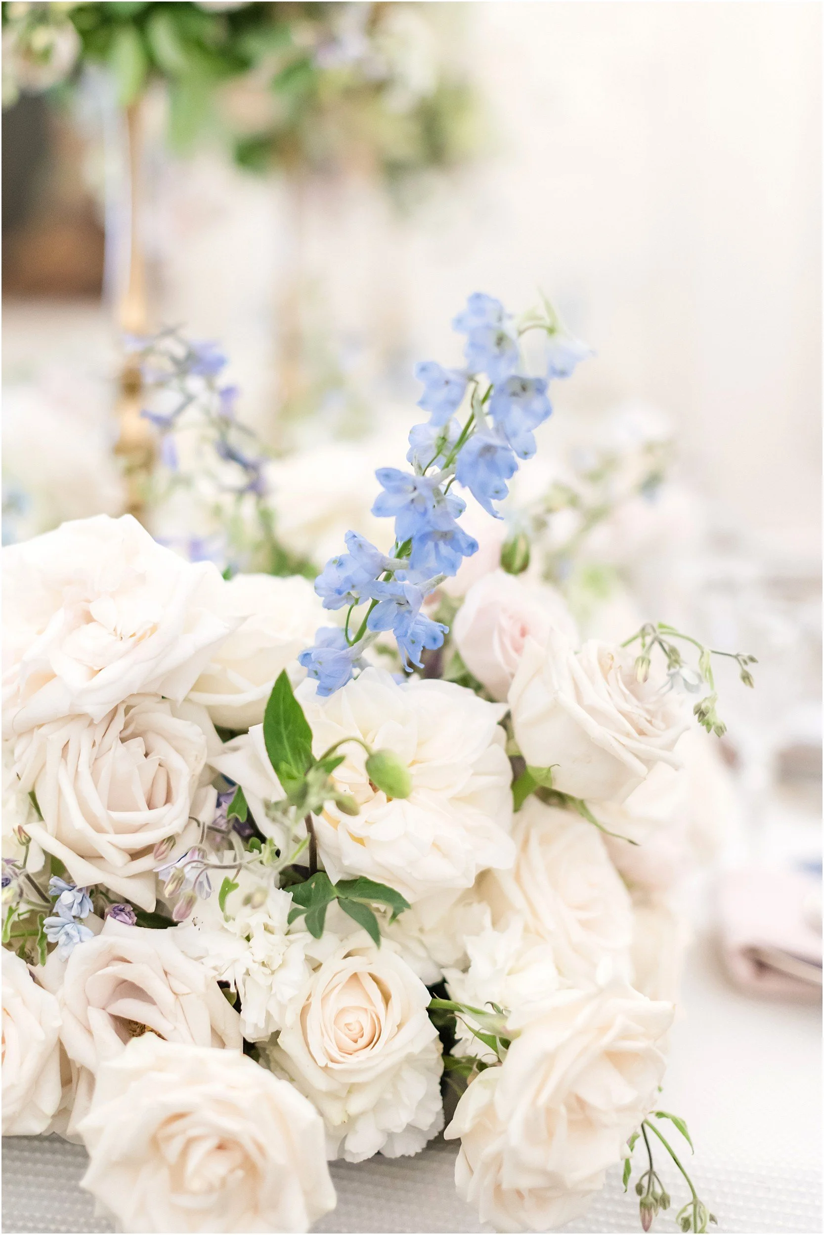 Daughters-of-the-American-Revolution-DC-Wedding-Anna-Grace-Photography_0640.jpg