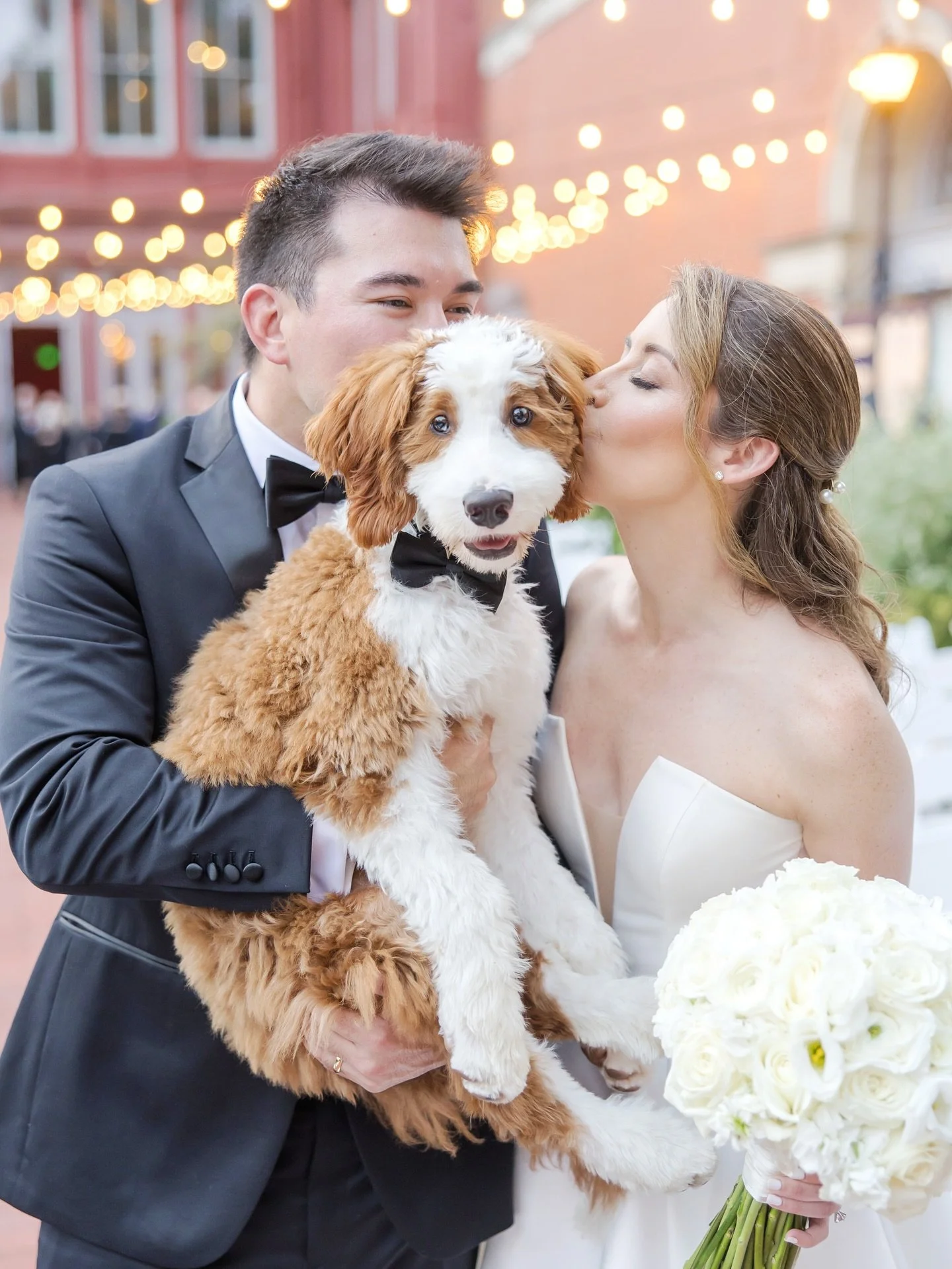 The cutest pup you ever did see! Congratulations to Mark and Lauren on their beautiful wedding at @1840splaza 🥂

Finn did steal the show a little bit with his cuteness and adorable smile 🐾 I loved capturing your day!

Vendor Team: 
Wedding Dress: @