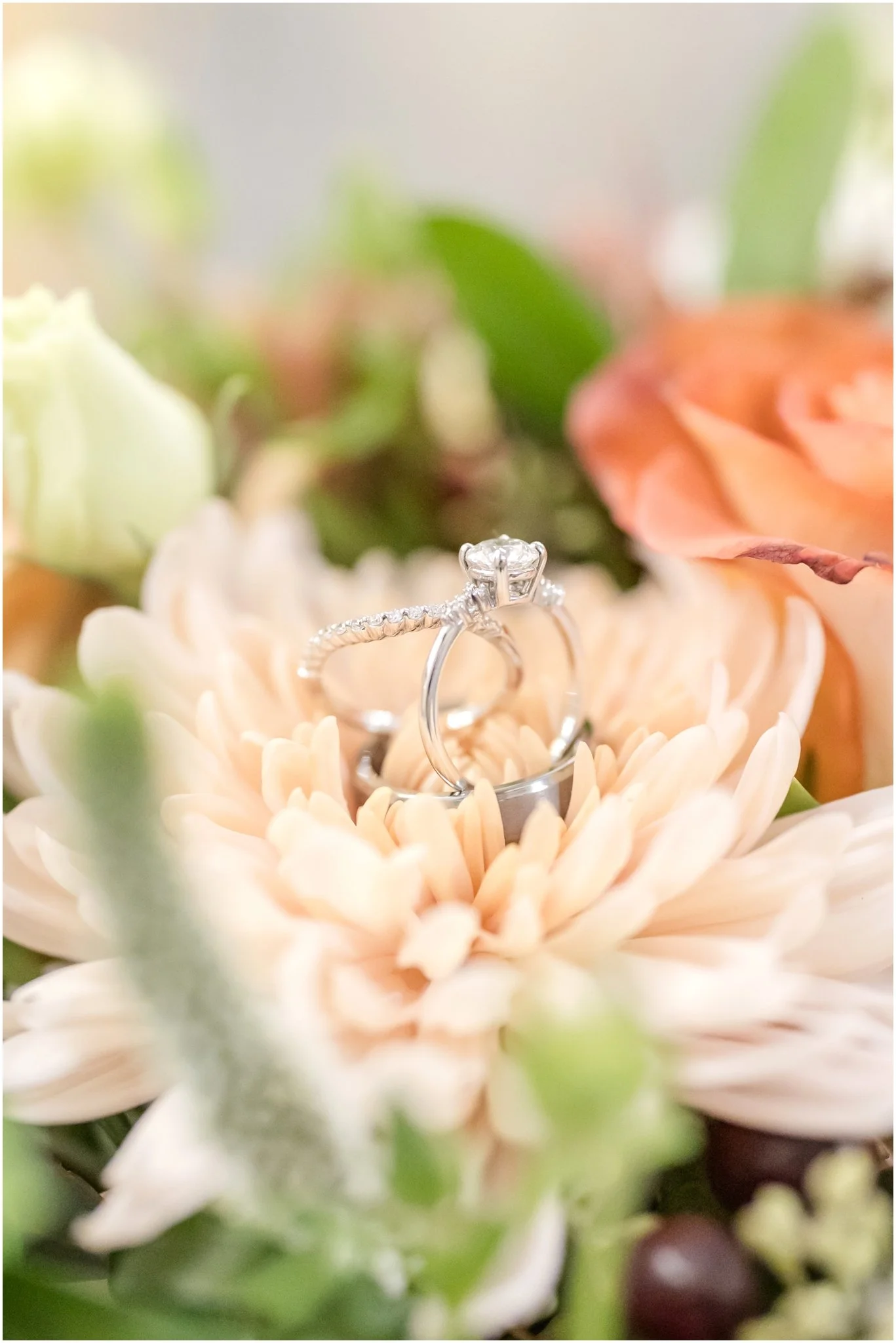 Angus Barn Raleigh Wedding Photographer Anna Grace Photo_0839.jpg