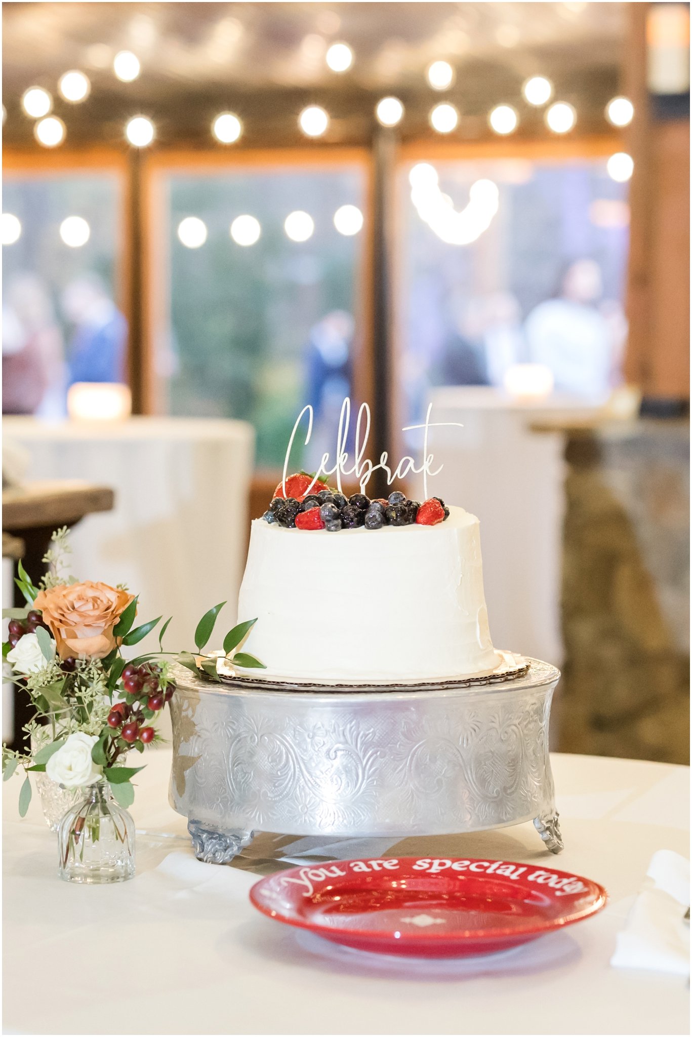 Angus Barn Raleigh Wedding Photographer Anna Grace Photo_0874.jpg
