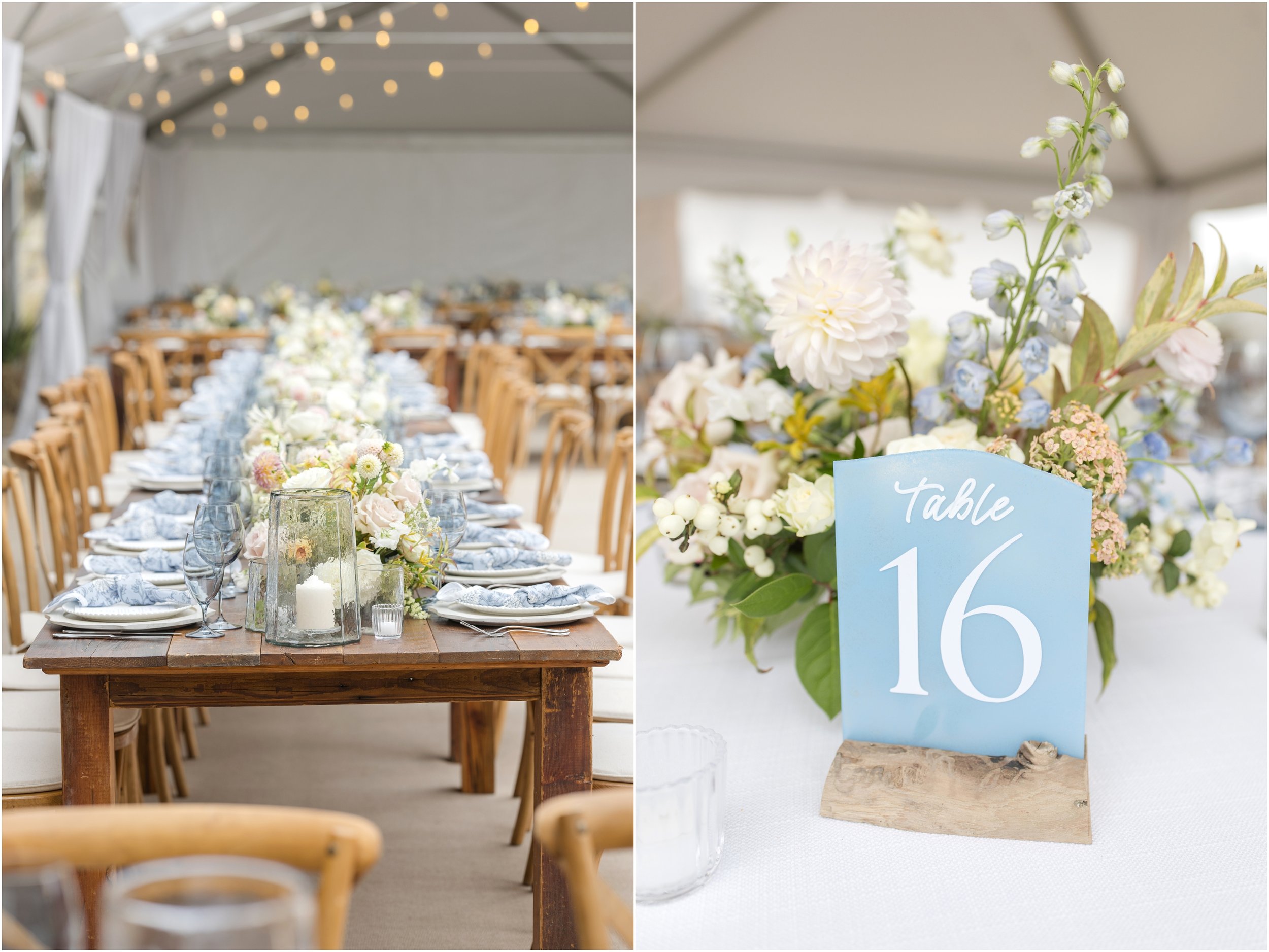 Bethany Beach Delaware Wedding Photographer Anna Grace Photo_0944.jpg