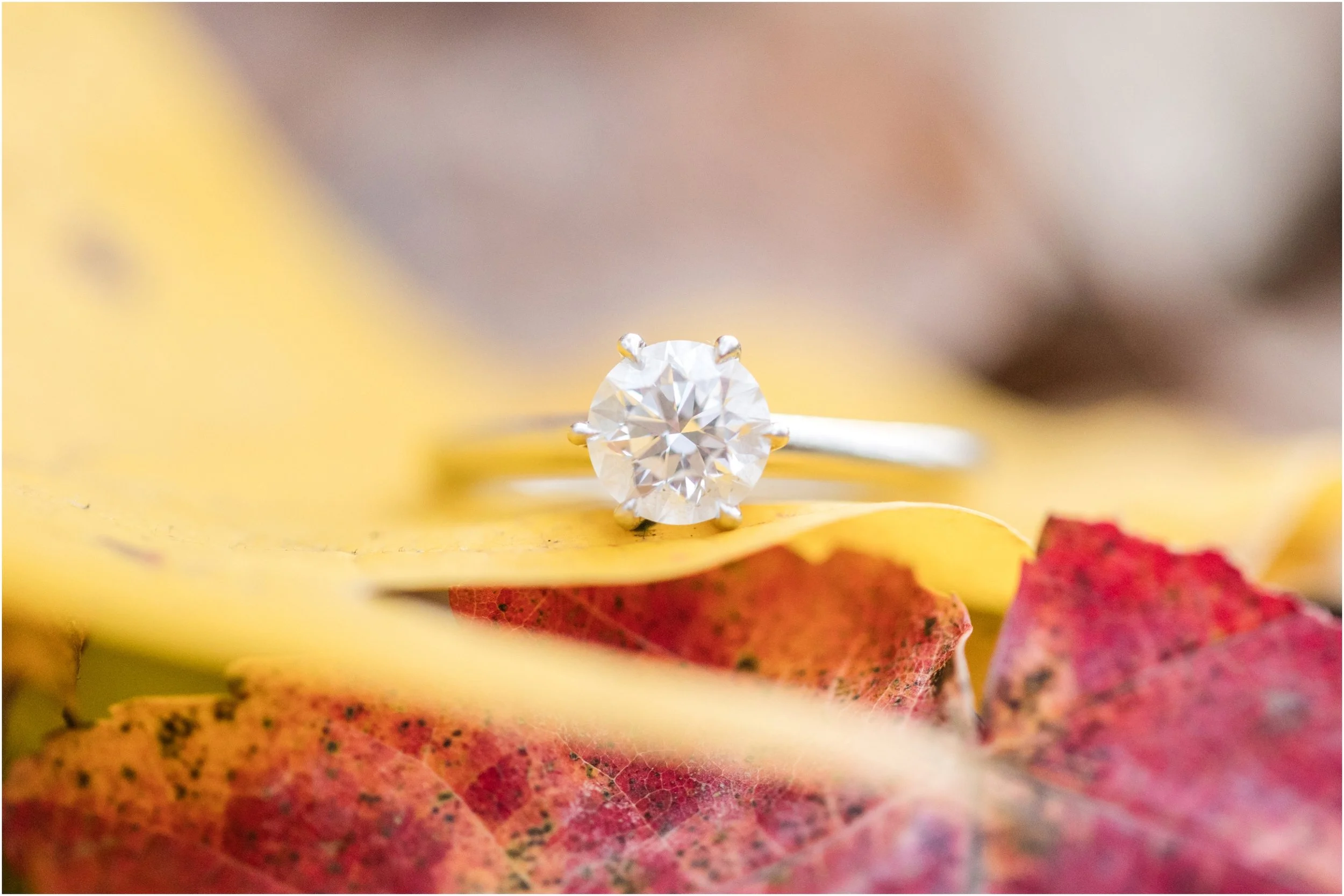 Raleigh Engagement Photographer Anna Grace Photo_0998.jpg
