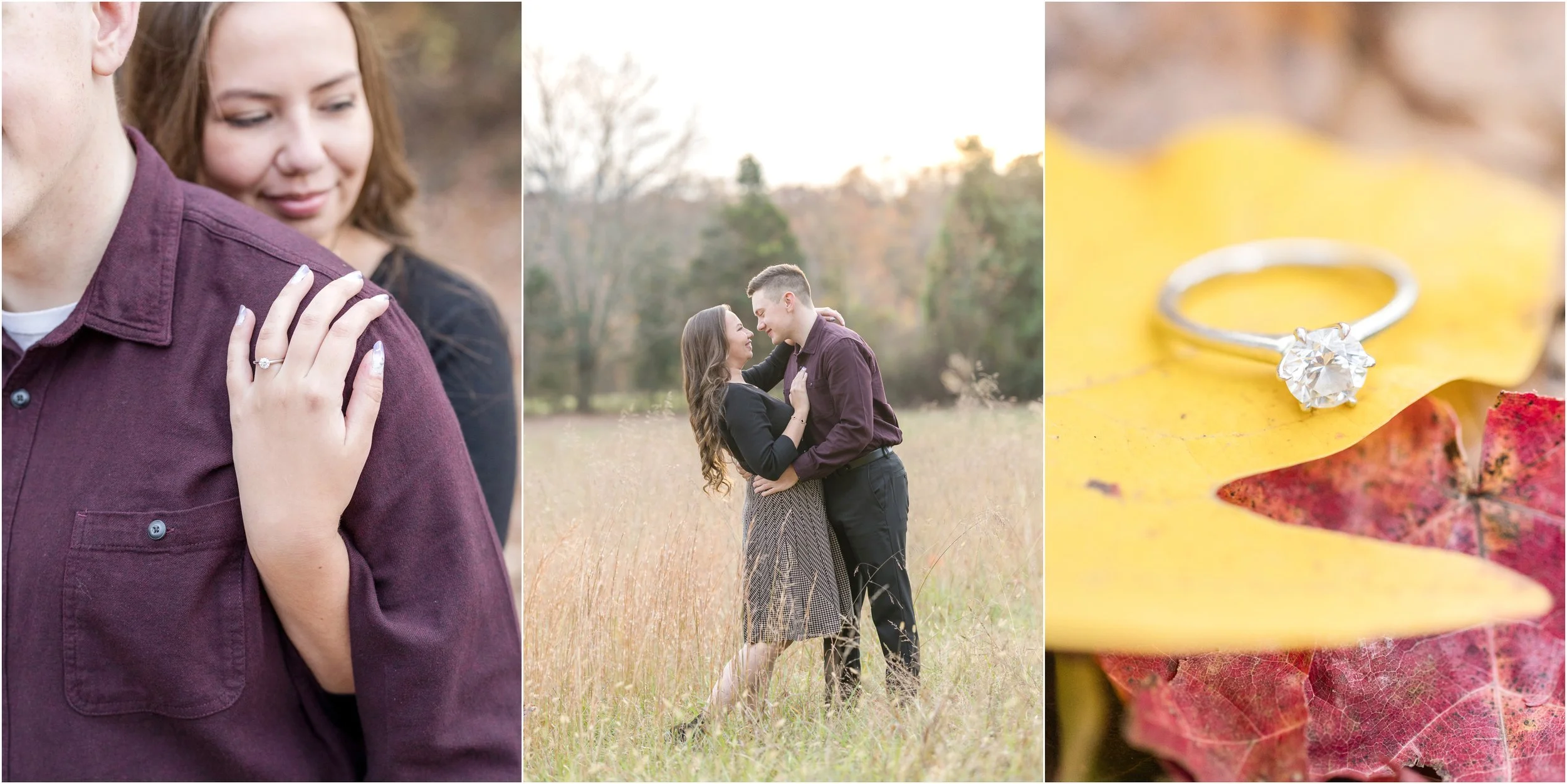 Donovan &amp; Brittney | Engaged {Private Residence}
