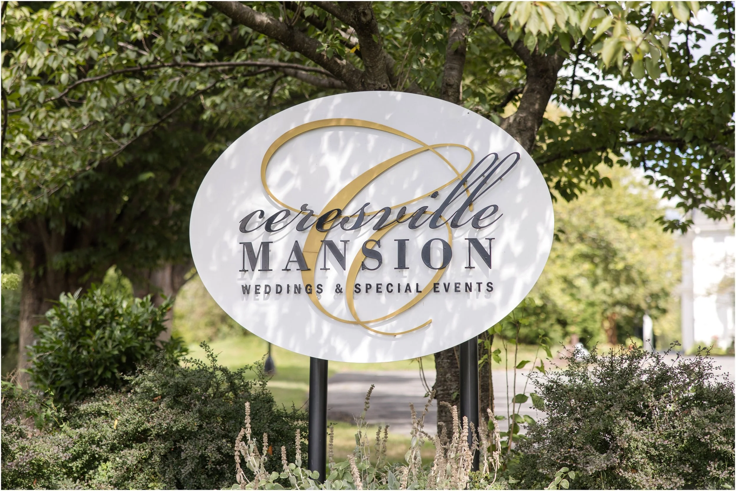 Maryland Wedding Photographer Ceresville Mansion Anna Grace Photo_1006.jpg