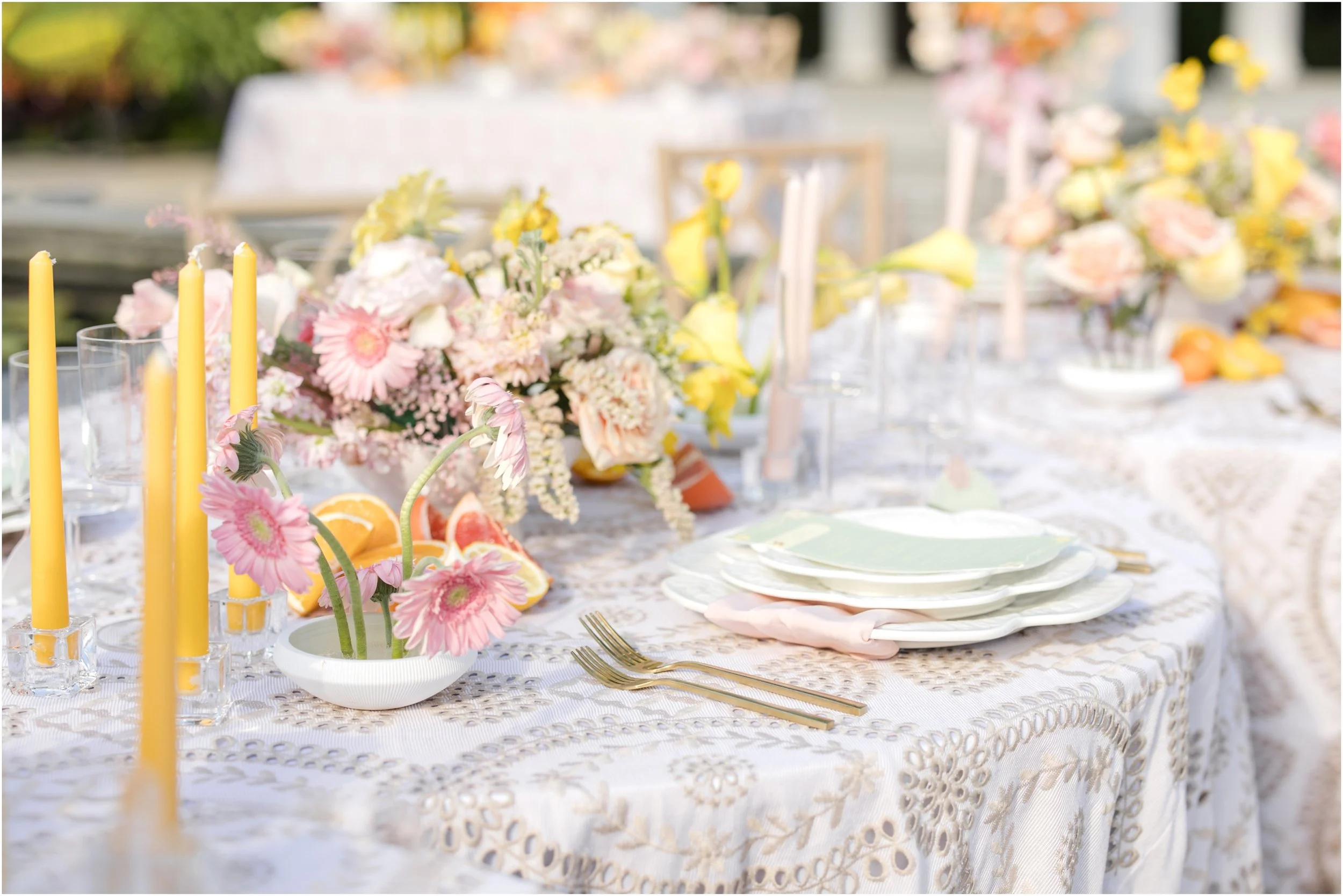 Maryland Wedding Photographer Ceresville Mansion Anna Grace Photo_1011.jpg