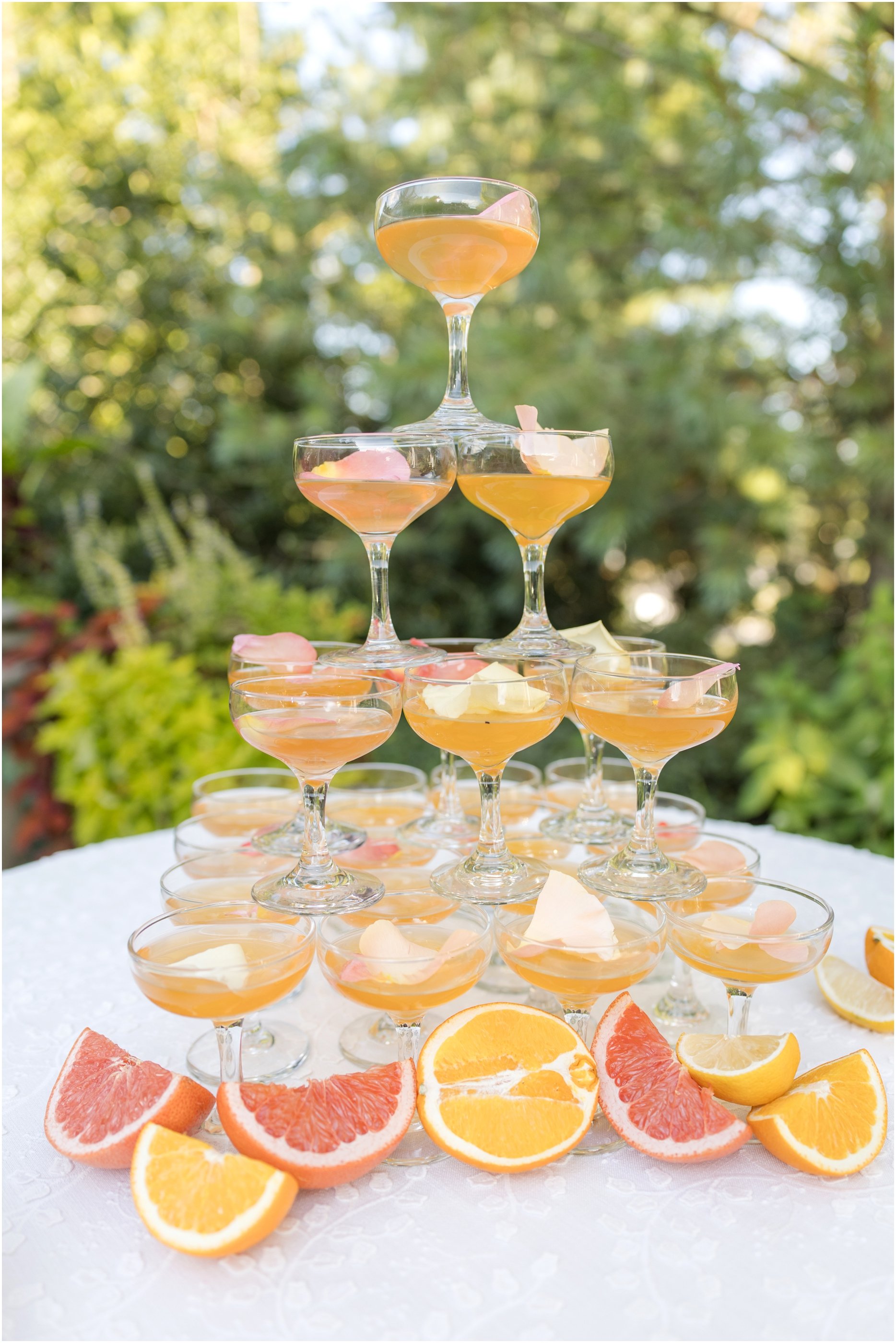 Maryland Wedding Photographer Ceresville Mansion Anna Grace Photo_1017.jpg