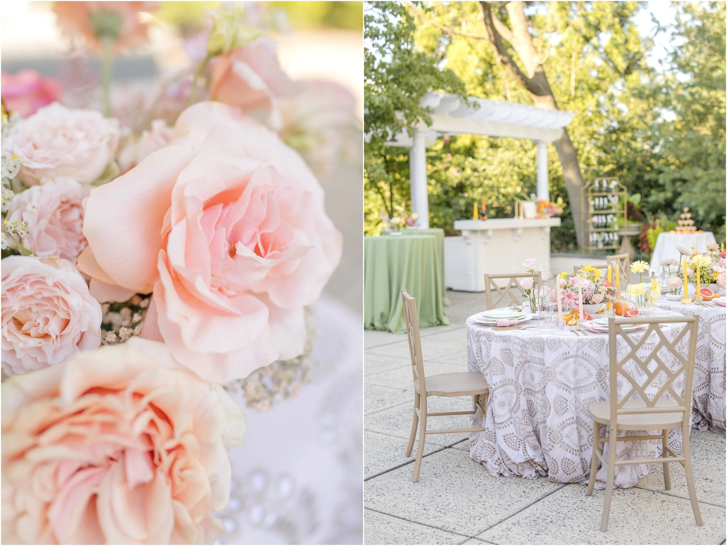 Maryland Wedding Photographer Ceresville Mansion Anna Grace Photo_1019.jpg
