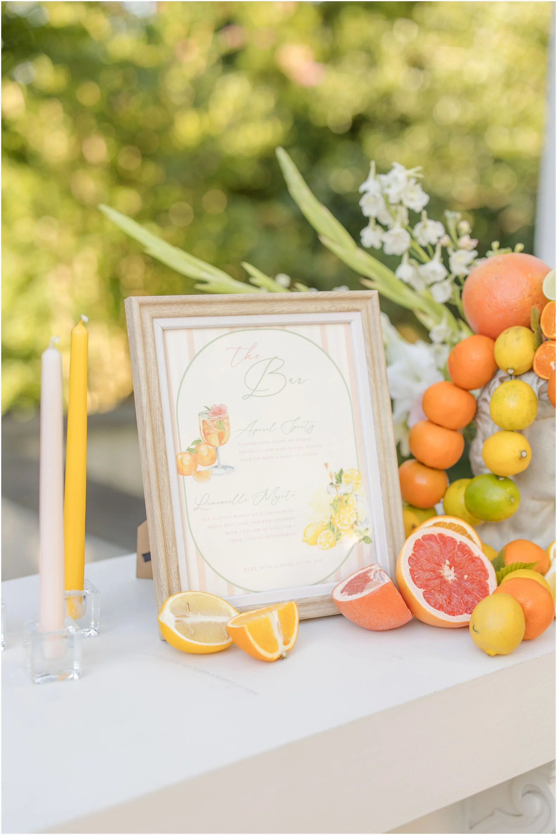 Maryland Wedding Photographer Ceresville Mansion Anna Grace Photo_1029.jpg