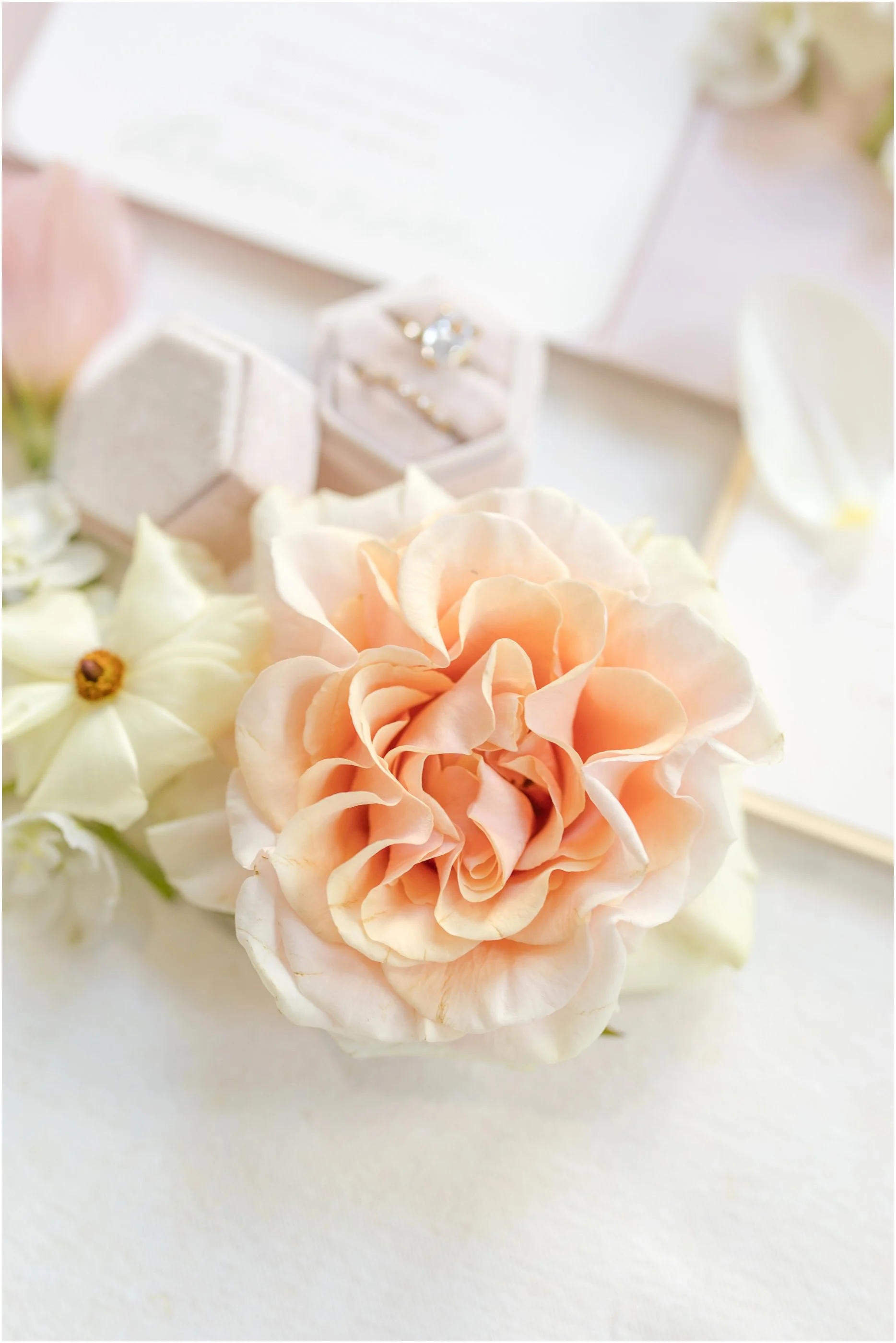 Maryland Wedding Photographer Ceresville Mansion Anna Grace Photo_1040.jpg
