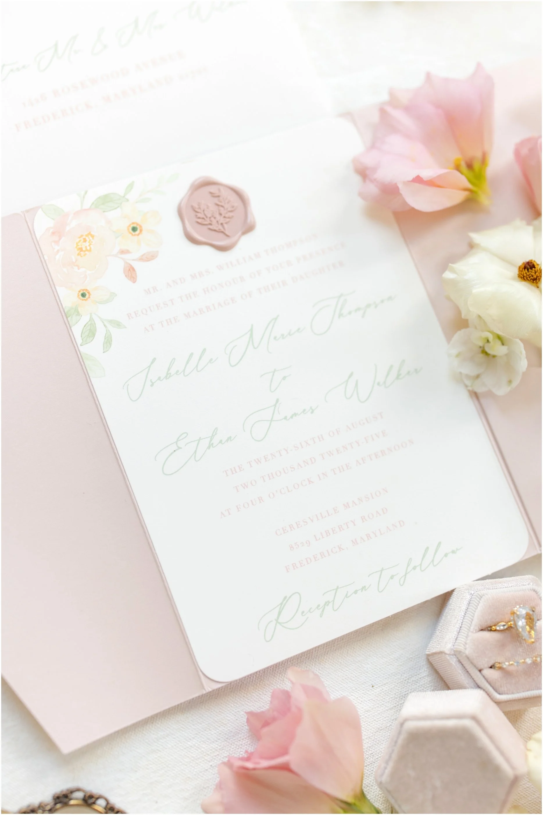Maryland Wedding Photographer Ceresville Mansion Anna Grace Photo_1041.jpg