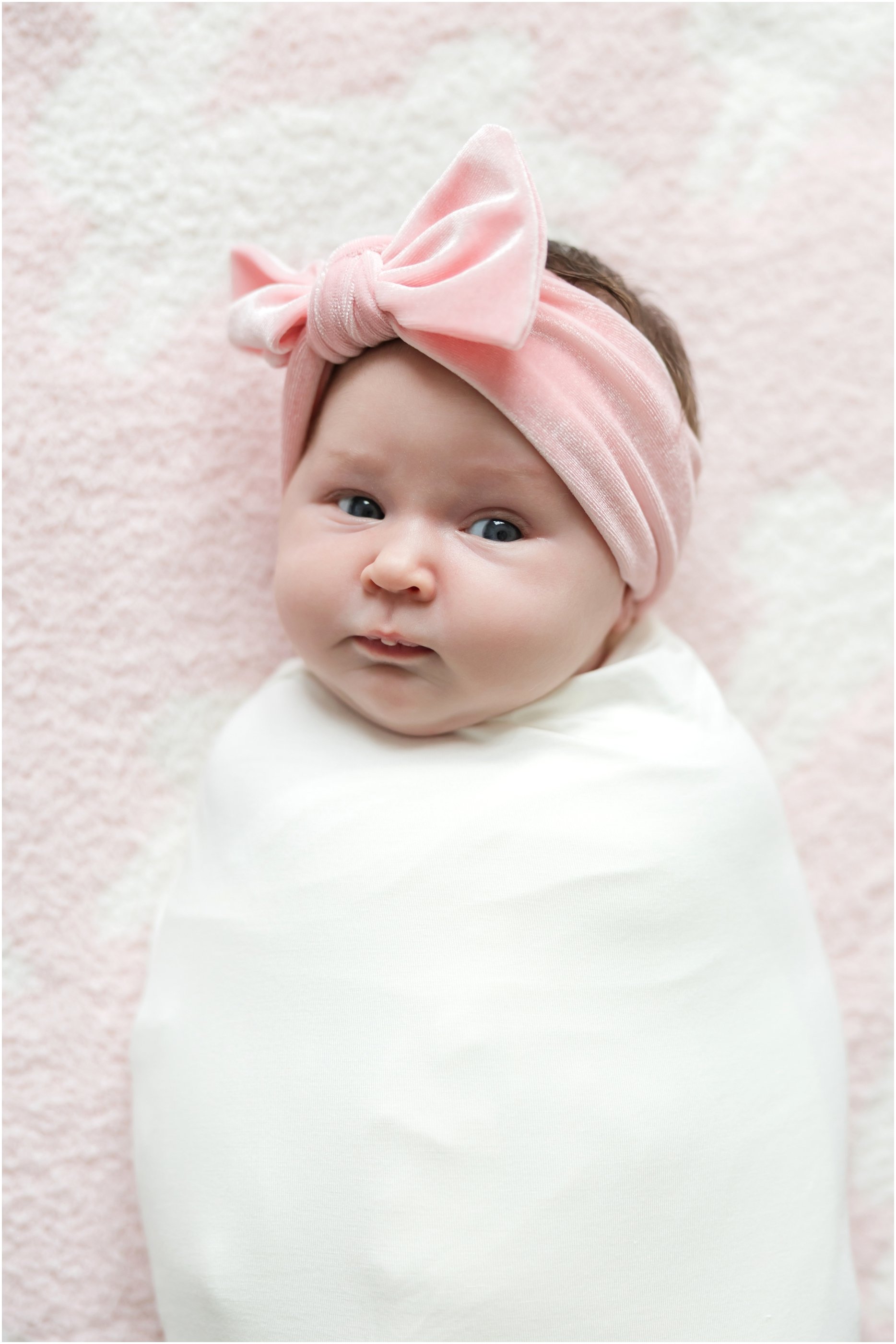 Raleigh Newborn Photographer Anna Grace Photo_1110.jpg