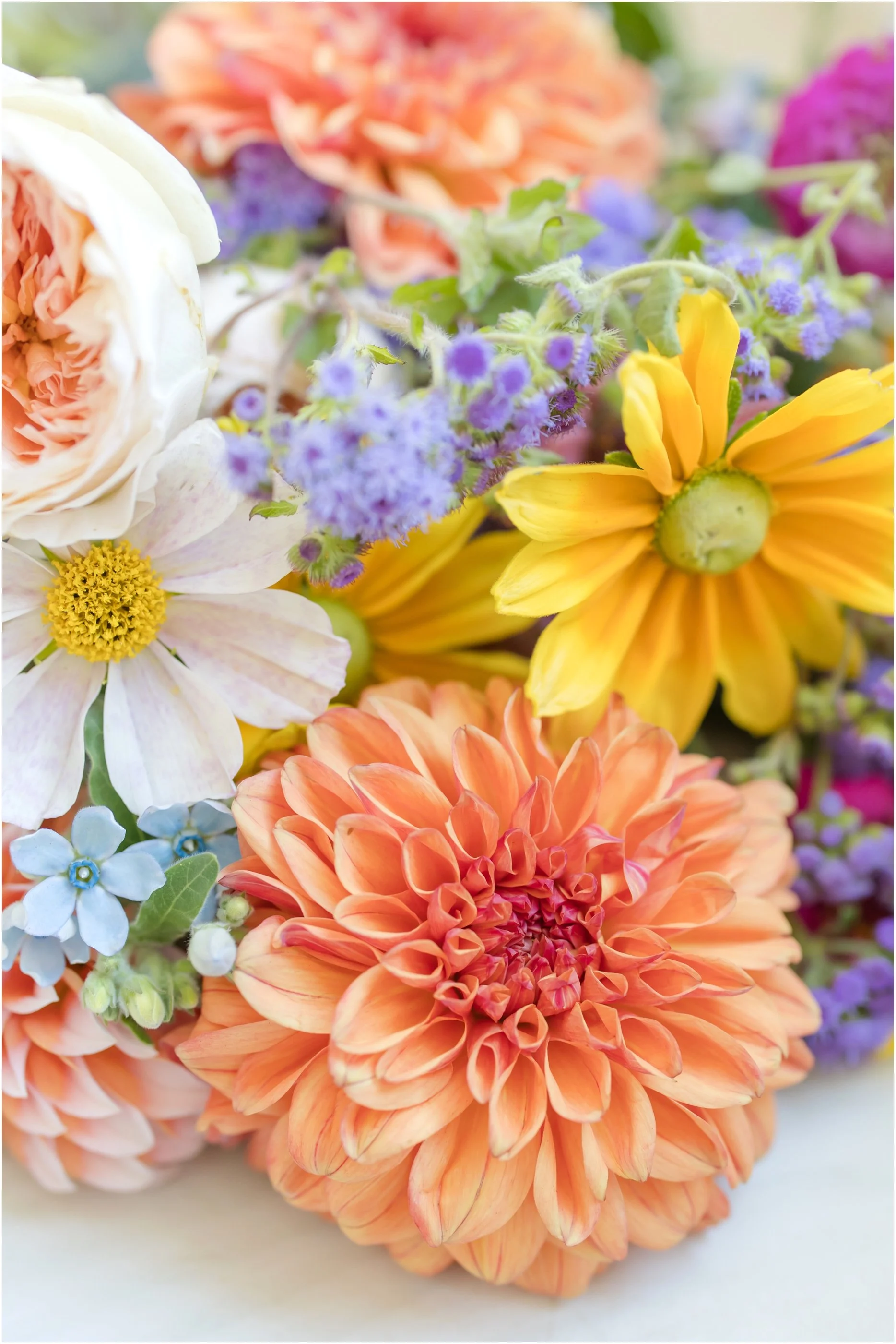 Ivy Rose Barn Virginia Wedding Photographer Anna Grace Photo_1137.jpg