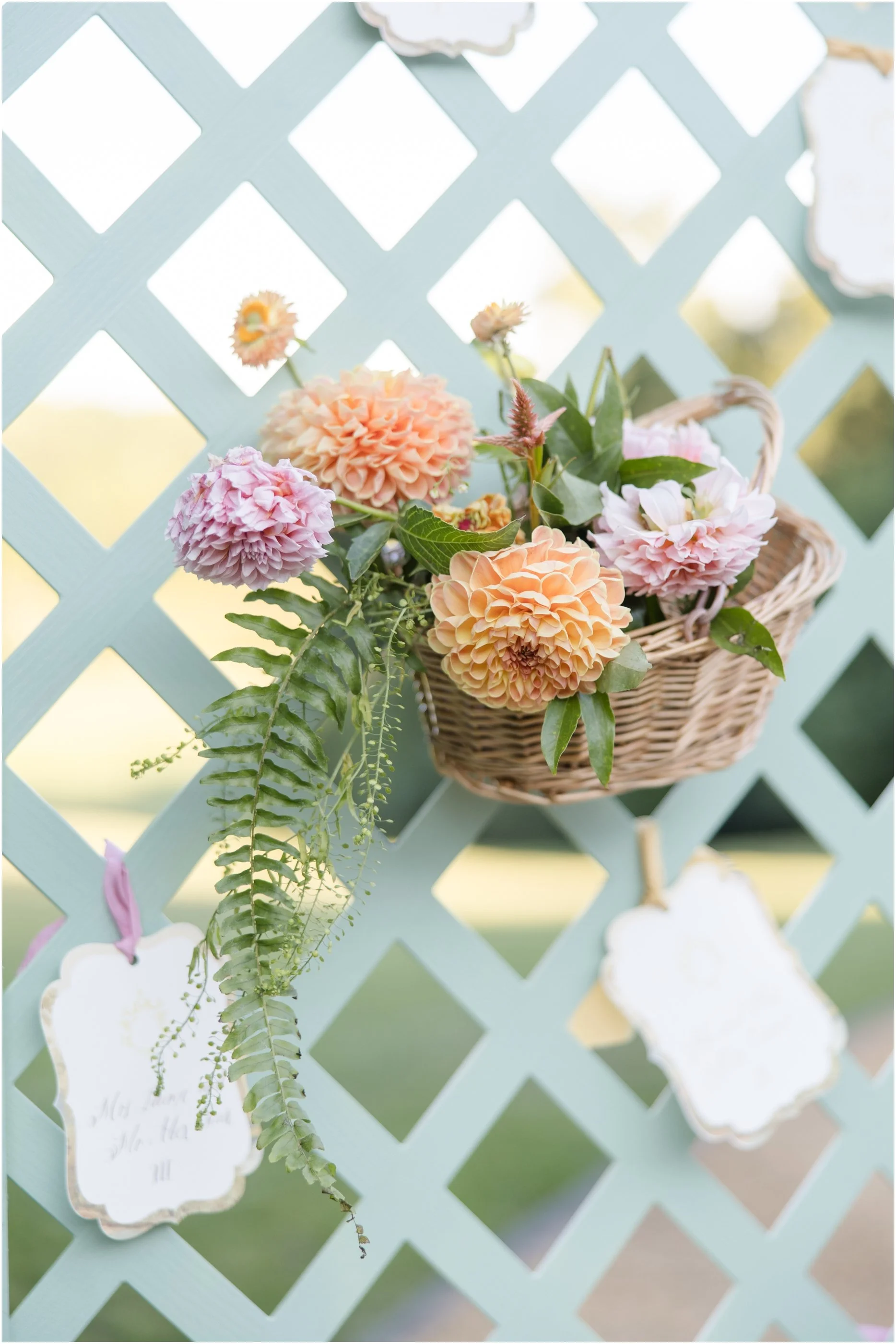 Ivy Rose Barn Virginia Wedding Photographer Anna Grace Photo_1209.jpg