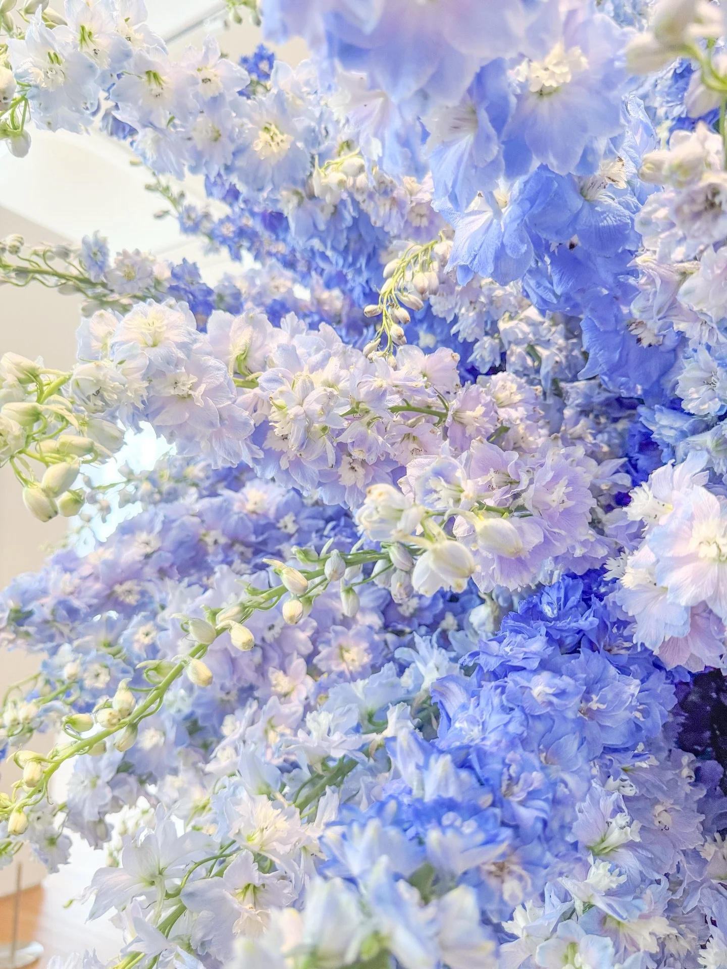 Art in Bloom is one of my favorite spring traditions in Raleigh🪻

So many incredibly talented artists and florists bring their creativity to life at the @ncartmuseum each spring. Every designer is paired with a piece of art and interprets it through