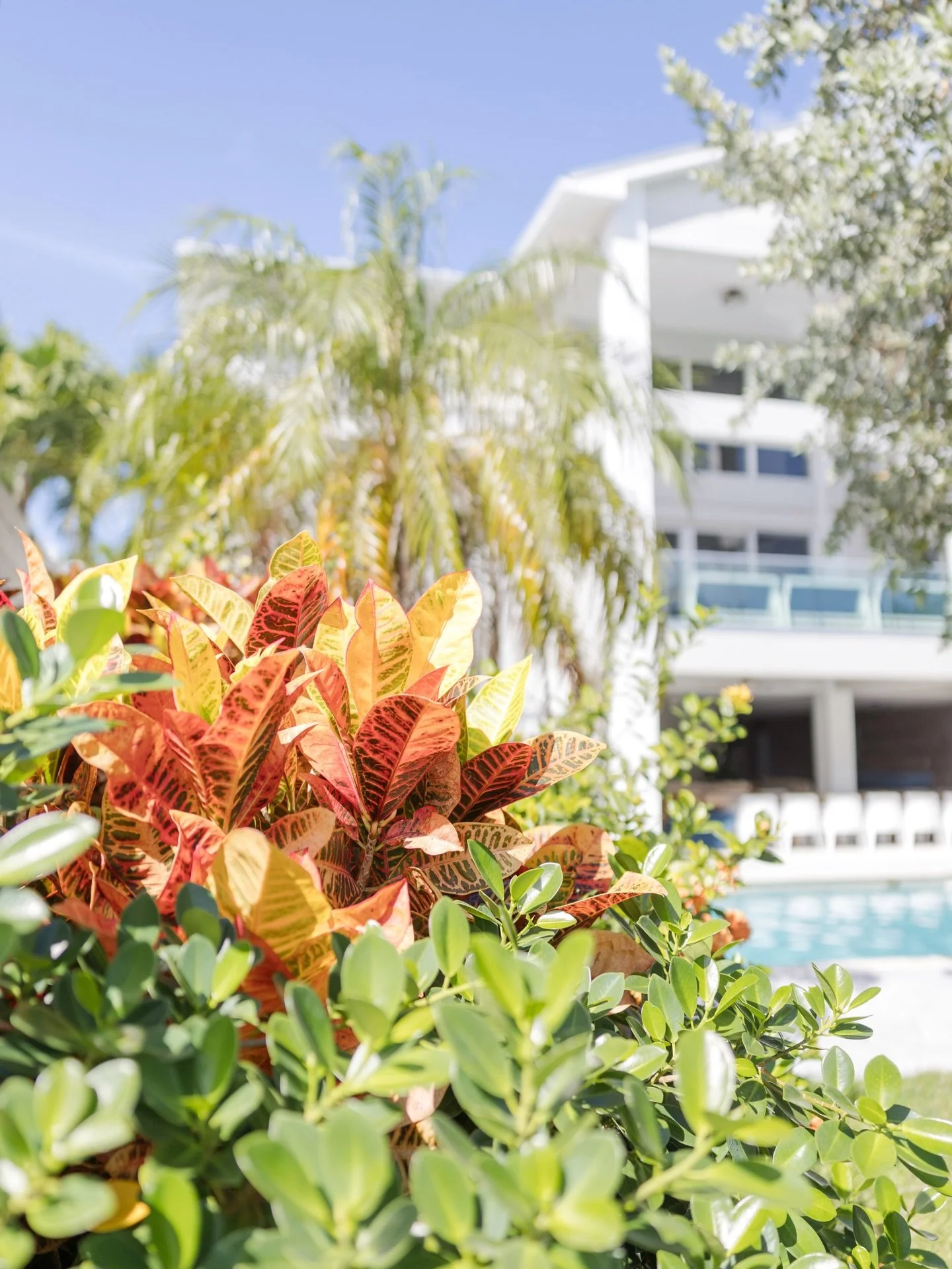 Thanks for a wonderful time, Miami! It was the perfect place to celebrate our girl @aspeceofcake13 🌴☀️ Until next time!