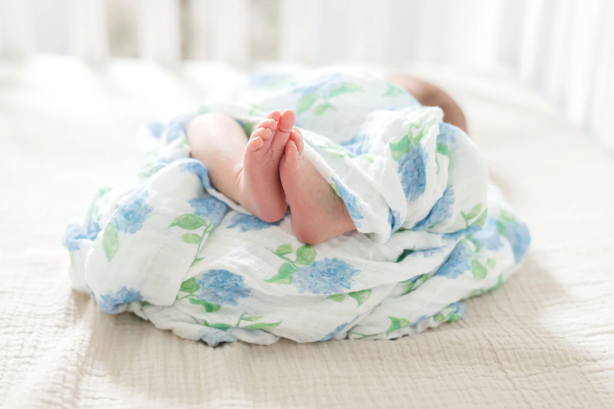 Raleigh Newborn Photographer Toes.jpg