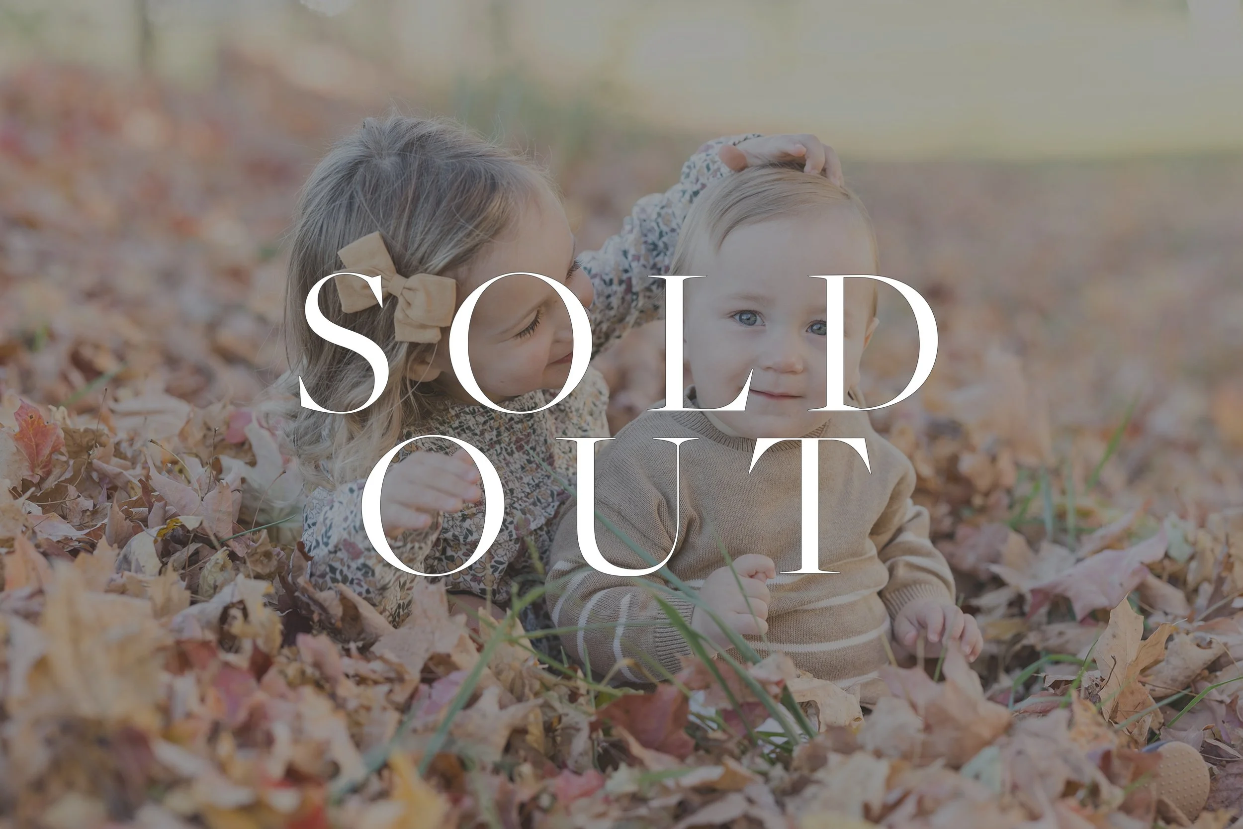11/14 Hampton National Historic Site Mini Sessions (MD Session)