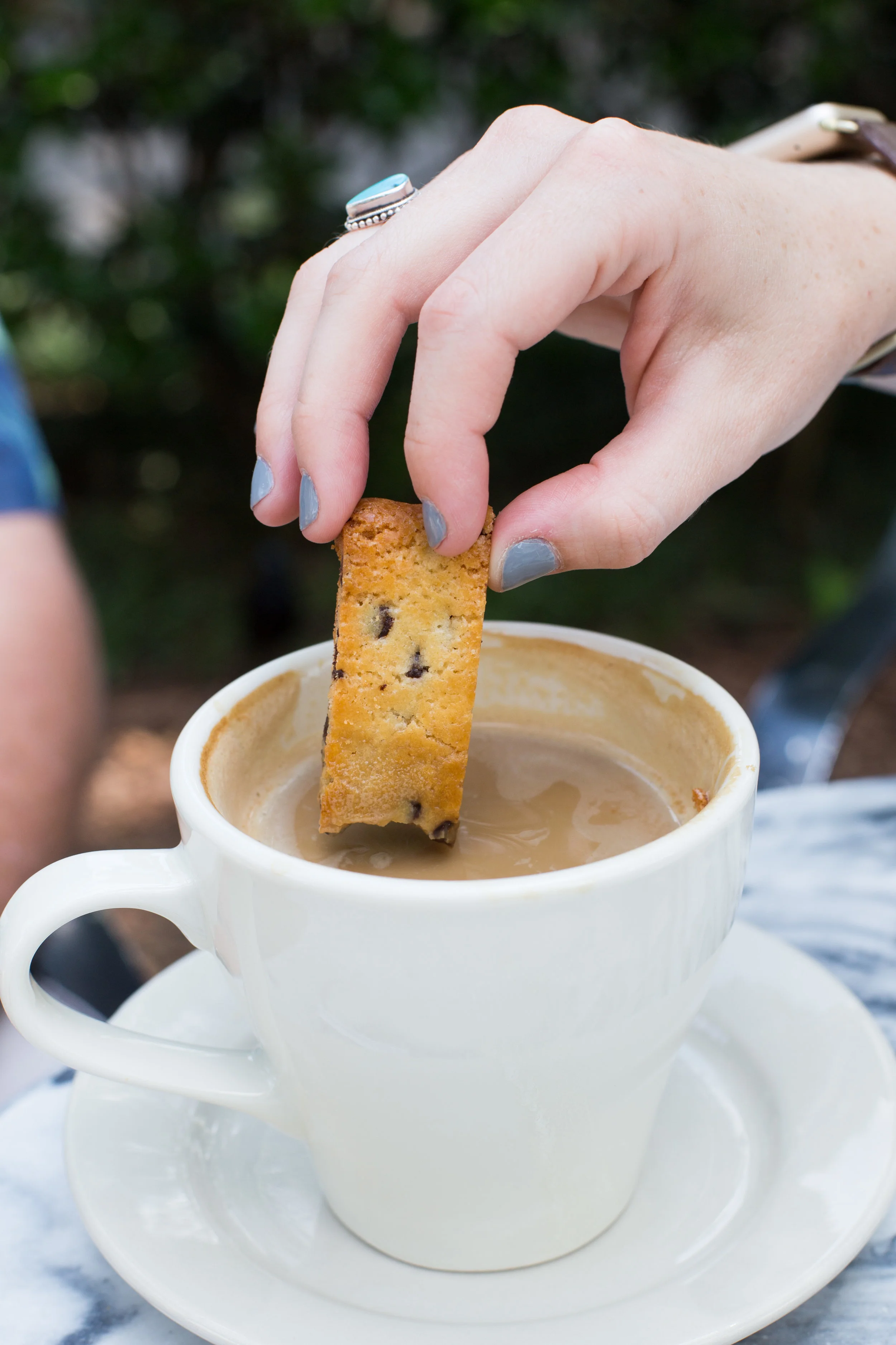 Chocolate Chip Biscotti 