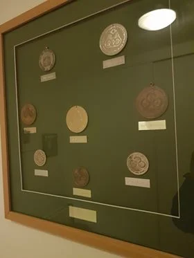 The Paralympic Medals Won by Frances O'Sullivan White