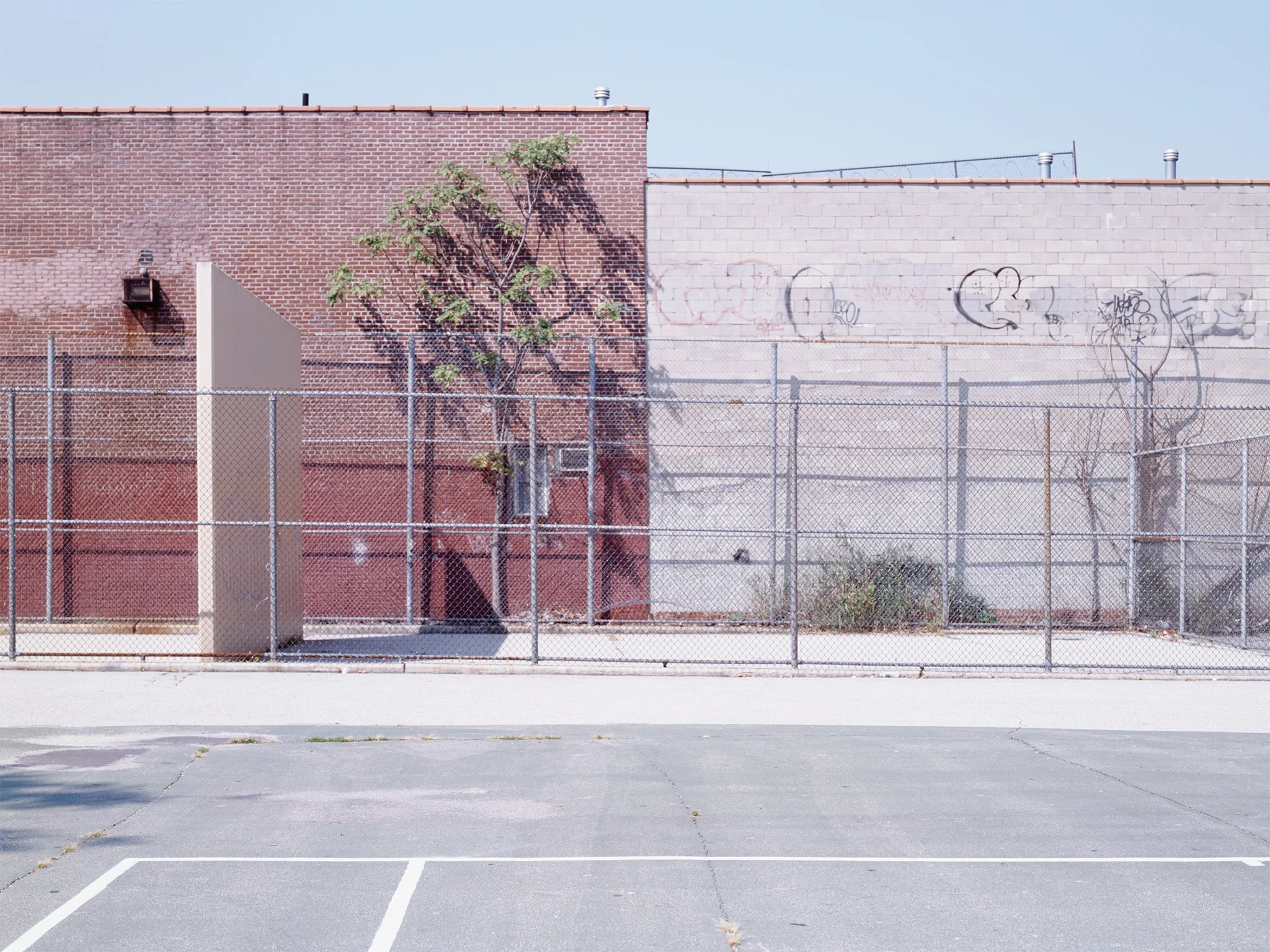 Handball court weeds growing in the sun Prospect Heights 2006 Saint Marks Ave. between Vanderbilt Ave. and Underhill Ave. 40.678485, -73.966878