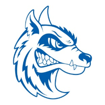 Catalyst Logo 2.png