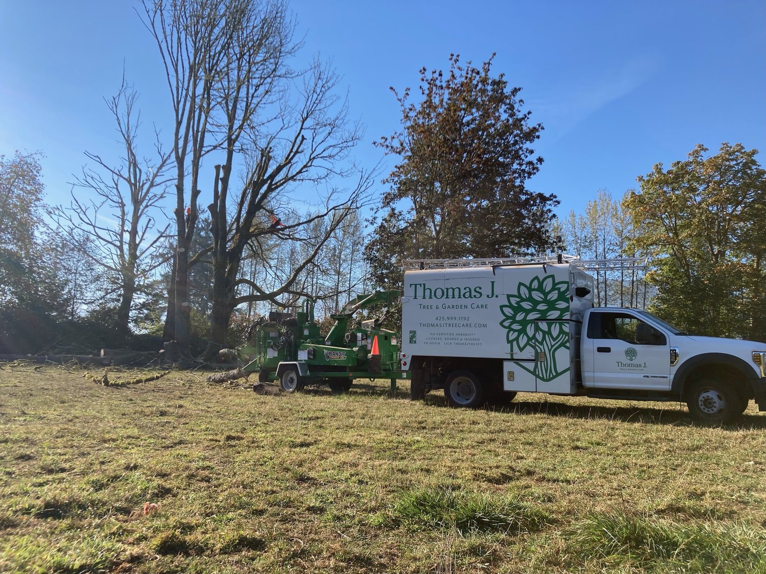 Tree Removal Service Thomas J. Tree Care