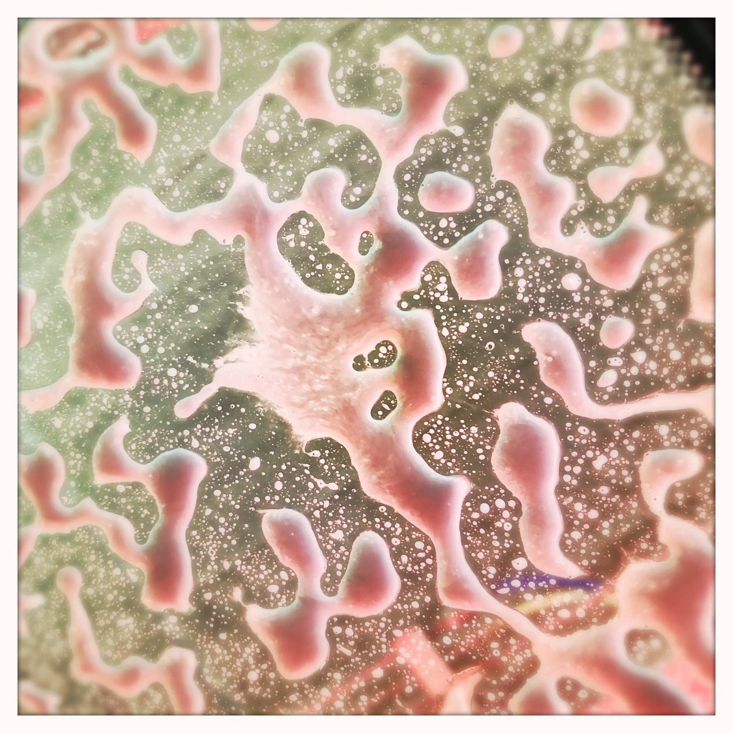 HipstamaticPhoto-619214413.191823 (1).JPG