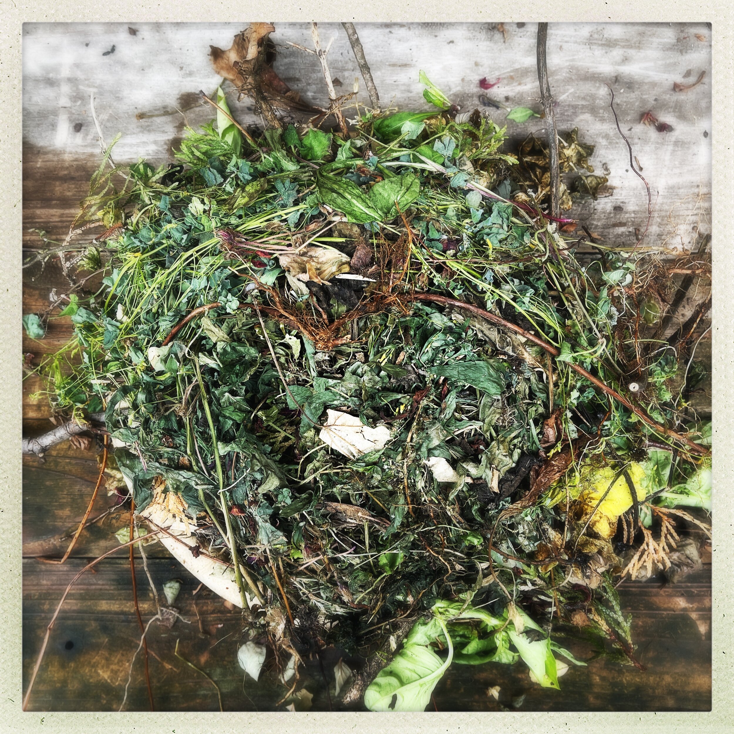 HipstamaticPhoto-647877177.997135 2.JPG