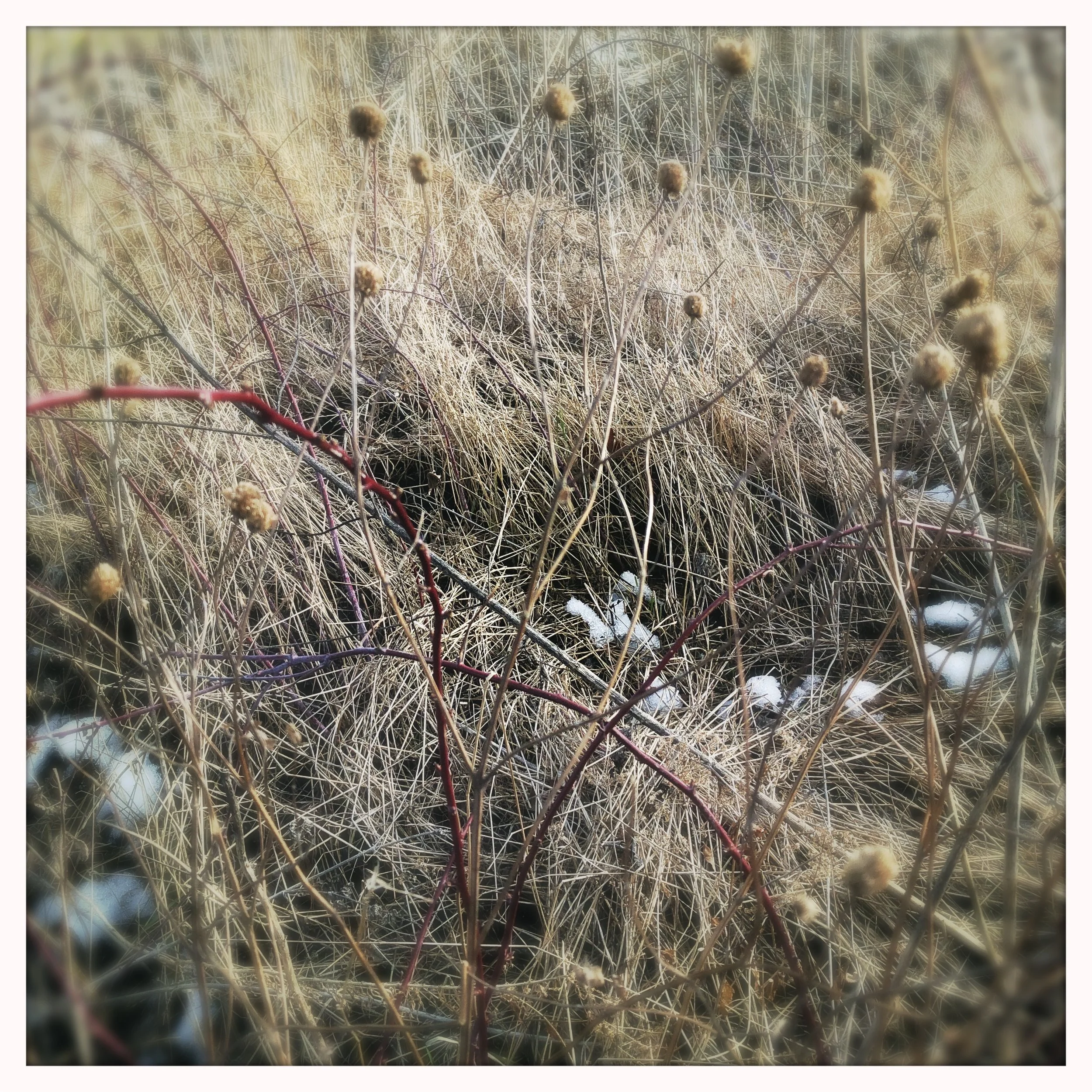 HipstamaticPhoto-602454878.074044.JPG