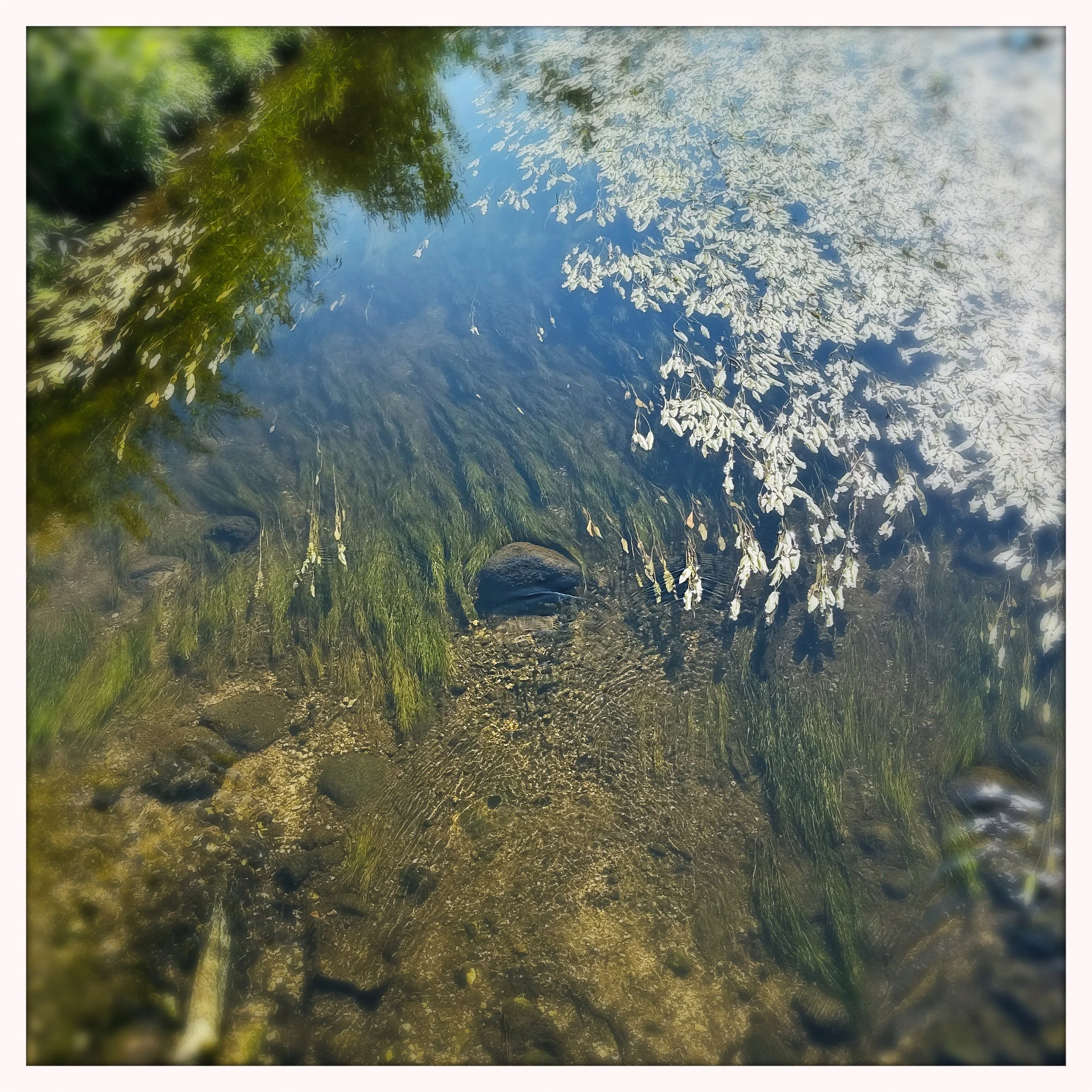 rock in creek st james.jpg