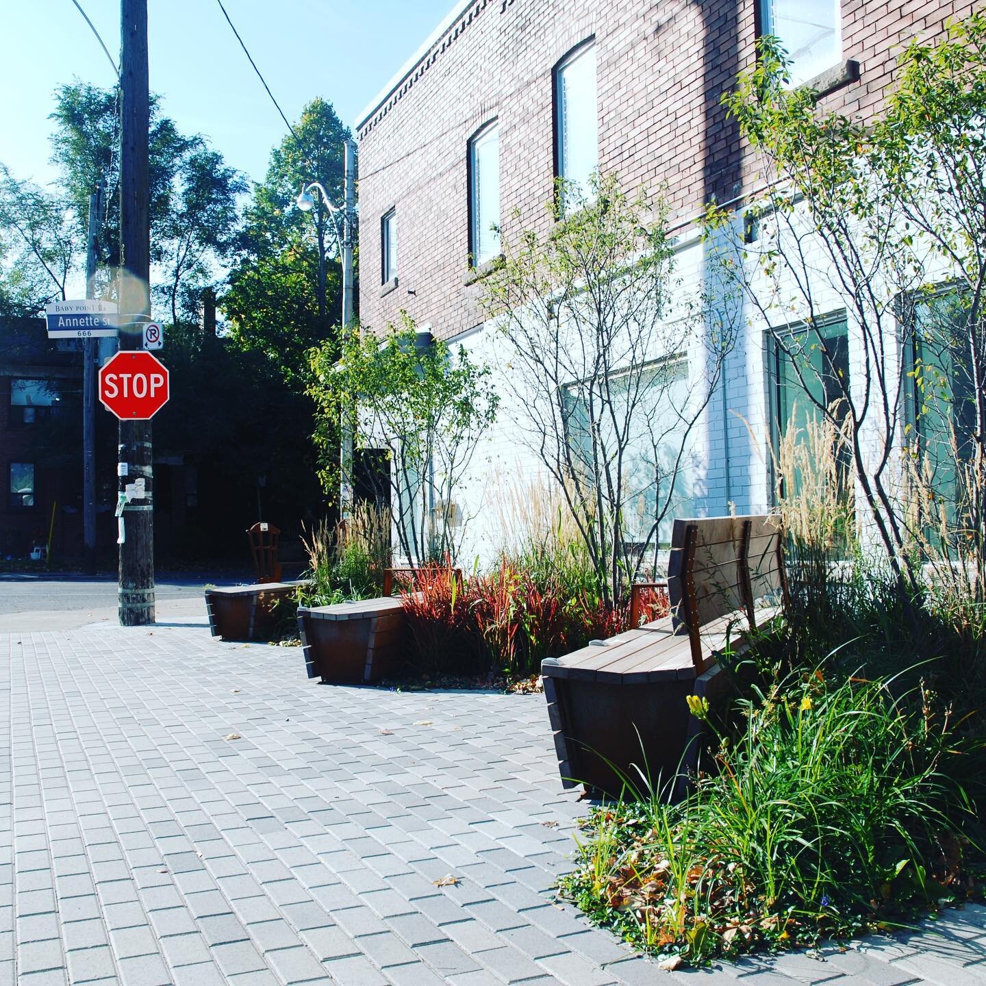 Delighted to see The Terrace @ Windemere and Annette won 2nd prize at the City of Toronto Garden Contest last night. We are honoured to have been involved, as always with @babypointgates for this parkette. @babypoint_hardware @torontopfr #community